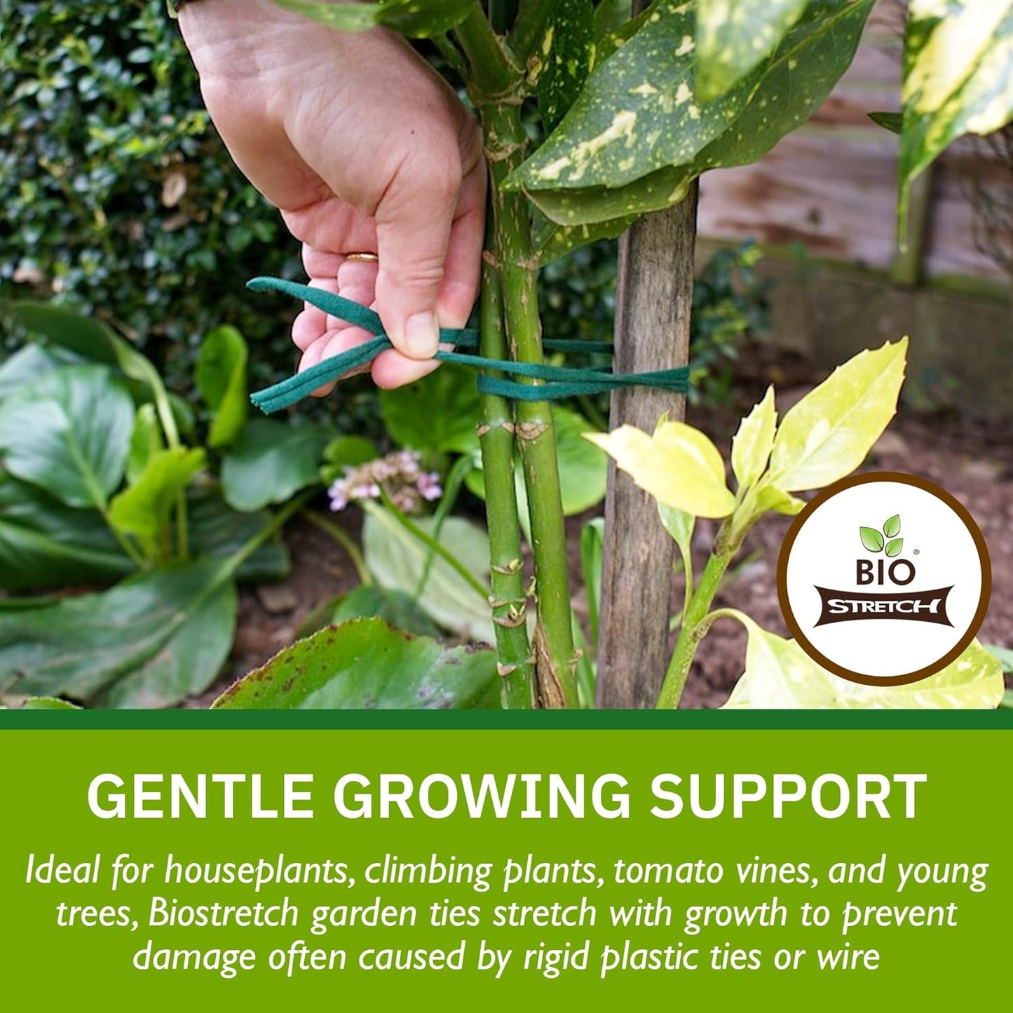 Soft Garden Plant Ties for Indoor & Outdoor Plants - Strong & Stretchy Cut-to-Length Plant Tape for Climbing Plants, Tomato Vines & Home Gardening (656 ft / 200M)