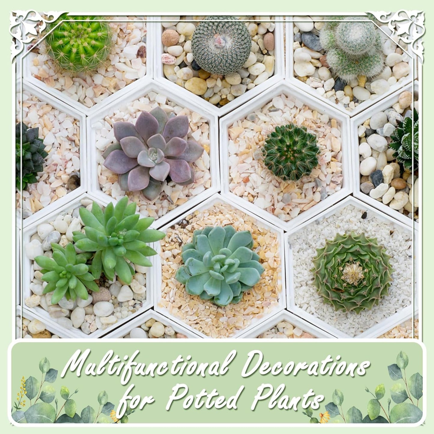 5lbs Natural River Rocks, High-Polished Pebbles for Plants Garden, 1-2 inch Decorative Black Stones, Ideal for Fish Tank, Vases, Crafting, Home Decor and Garden Landscaping Rocks,Black