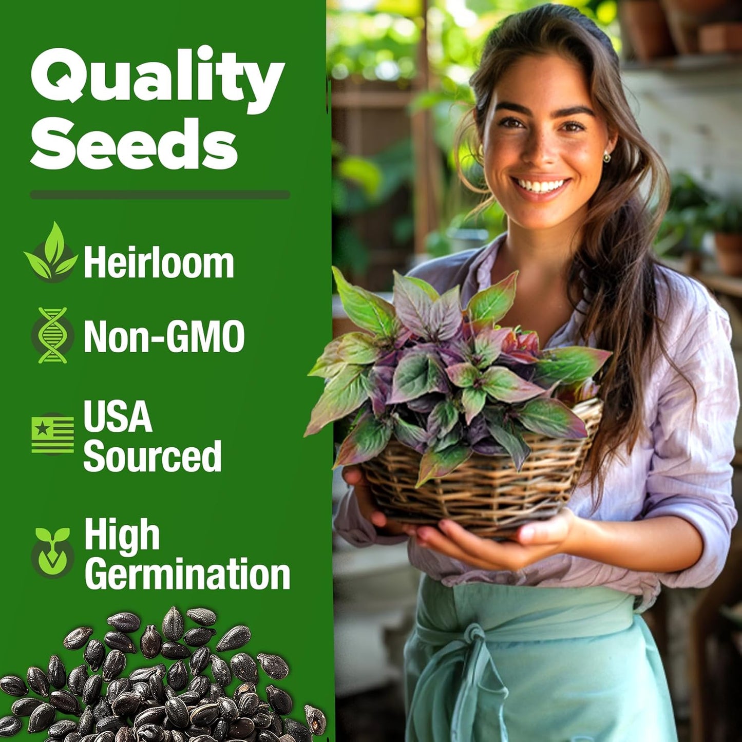 HOME GROWN Thai Basil Seeds Pack - 438 High Germination 𝗡𝗢𝗡-𝗚𝗠𝗢 𝗨𝗦𝗔 Heirloom Herb Seeds for Planting,Ideal for Growing Fresh Basil Planting Indoor or Outdoor(Ocimum basilicum var.thyrsiflora)