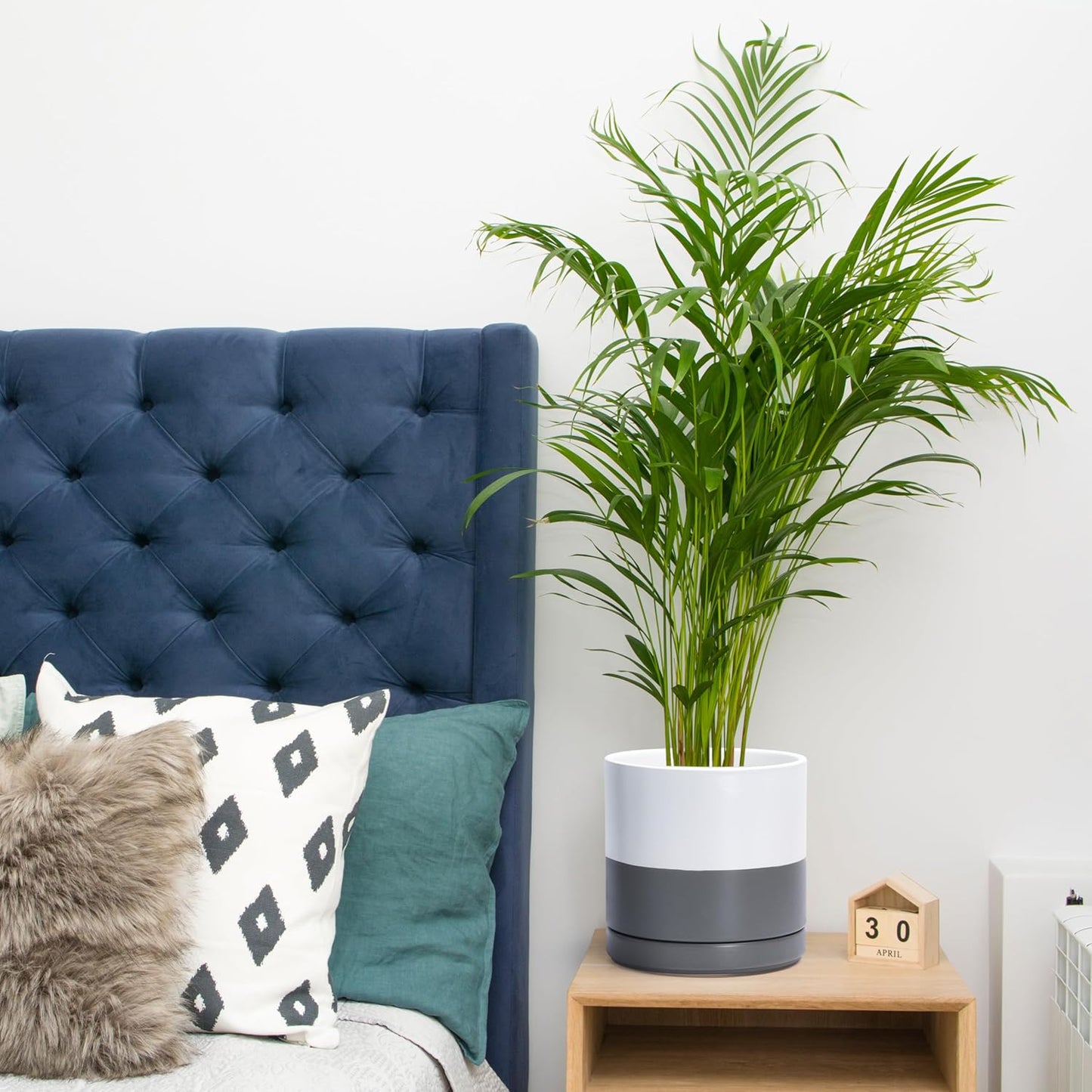 D'vine Dev 8.2 Inch Ceramic Planter Pot with Drainage Hole and Saucer, Indoor Cylinder Round Planter Pot, White/Speckled Grey, 94-O-D-6