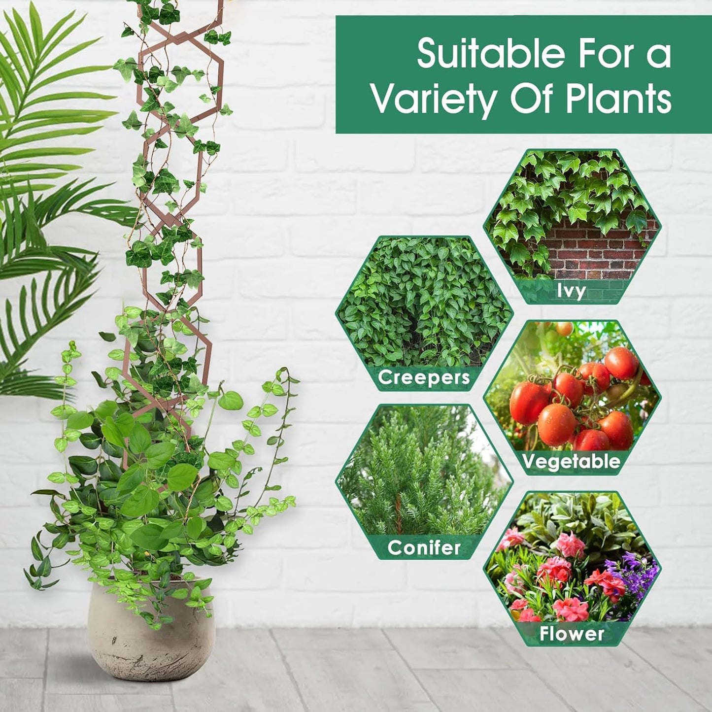 20pcs Chain Trellis for Climbing Plants, HSSZXFR DIY Plant Climber Support for Vines and Garden Wall Trellis, Indoor and Outdoor Accessories for Monstera Pothos Ivy Flower (Hexagonal)