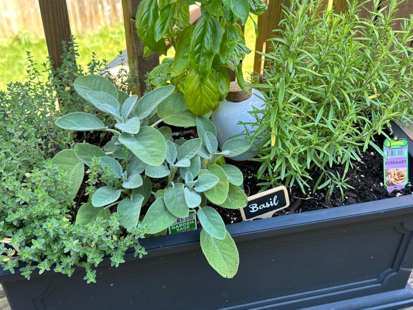 Plant Self Watering Globes - Terracotta Watering Spikes - Slow Release Olla Pots - Holds 14 oz - Drip Irrigiation Olla System