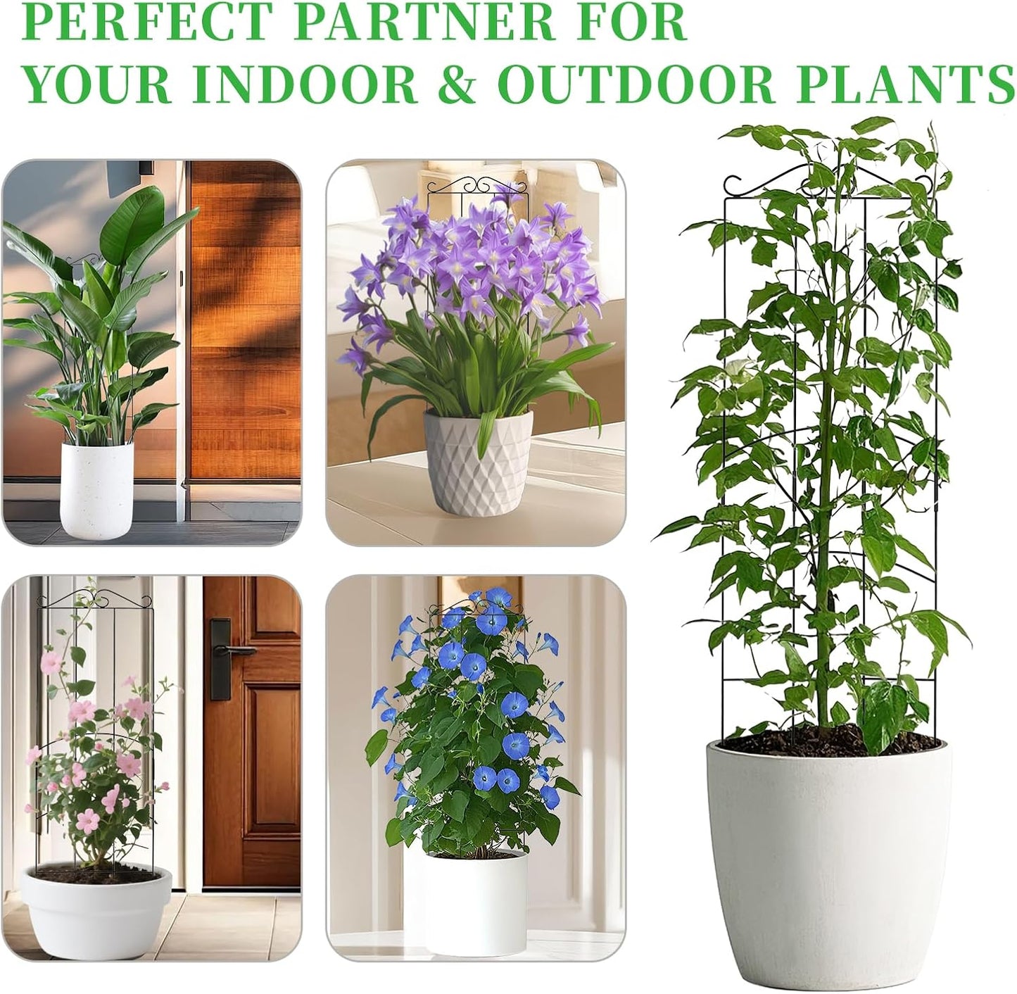 32 Inch Metal Plant Trellis for Climbing Plants Outdoor，4 Pack Garden Trellis for Potted Climbing Plants Indoor Houseplants Flowers Vine Ivy,Black,Rectangle
