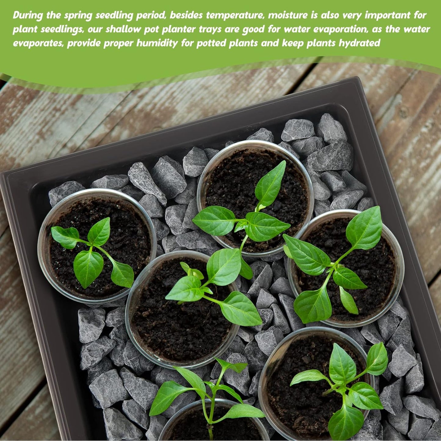 Pinkunn 2 Pcs Bonsai Humidity Tray Drip Tray Plastic Plant Water Catcher Plant Saucers for Indoors and Outdoors Cactus,Succulents,Bonsai Tree,Stone Not Included (11 x 8 Inch)