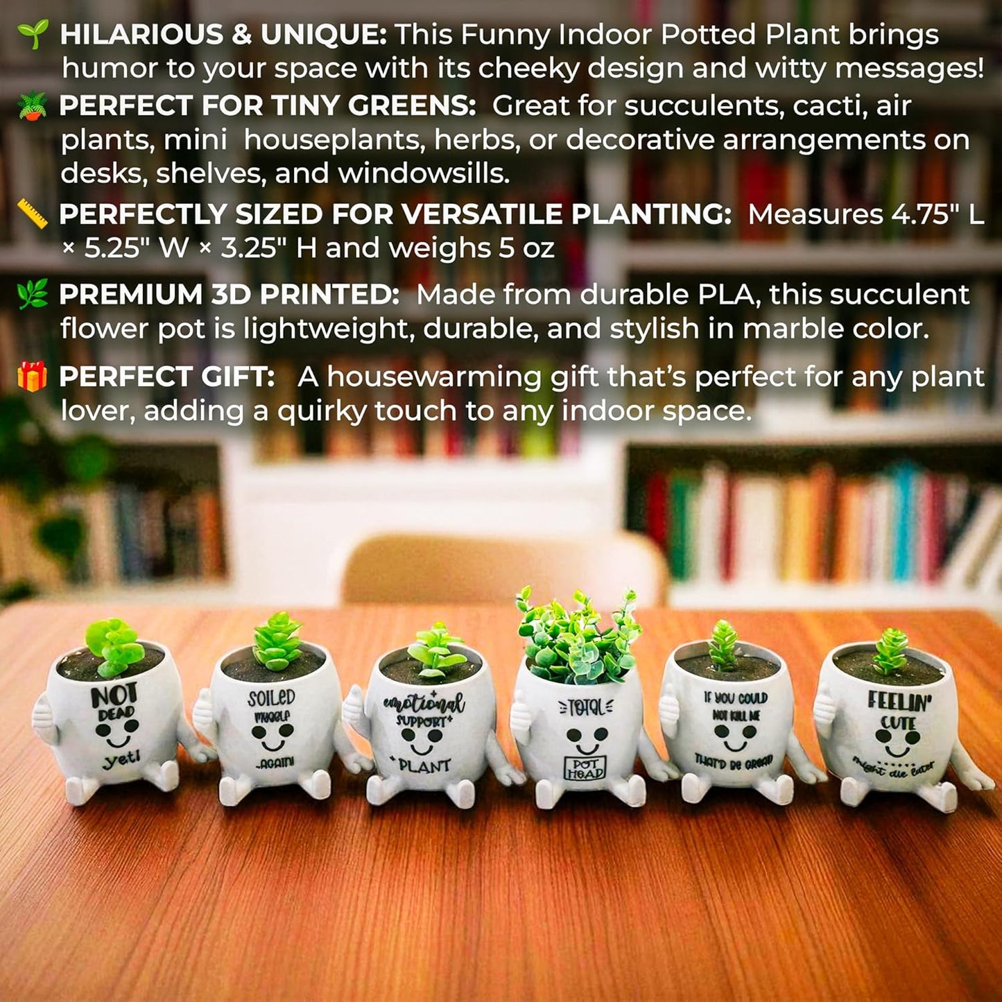 Funny Face Indoor Head Planter Pot, 3D Printed, Unique Small Succulent Flower Pot, Cute Cactus Planter, Indoor Home Decor, Office Desk Plant Pot, Novelty Gardening Gift Set