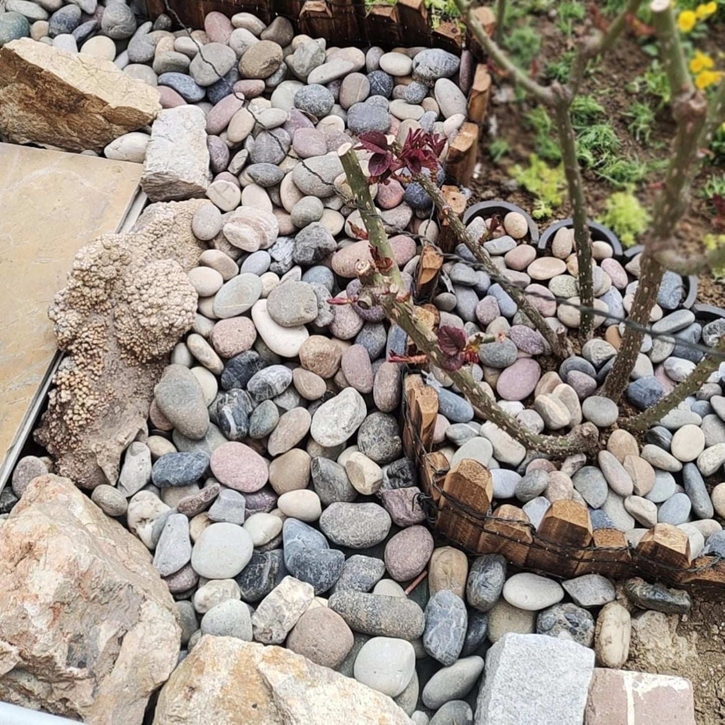 10 lbs River Rocks, 1-2 Inch Natural Pebbles for Plants, Landscaping, Garden, Aquarium, Backyard and Indoor Water Fountains