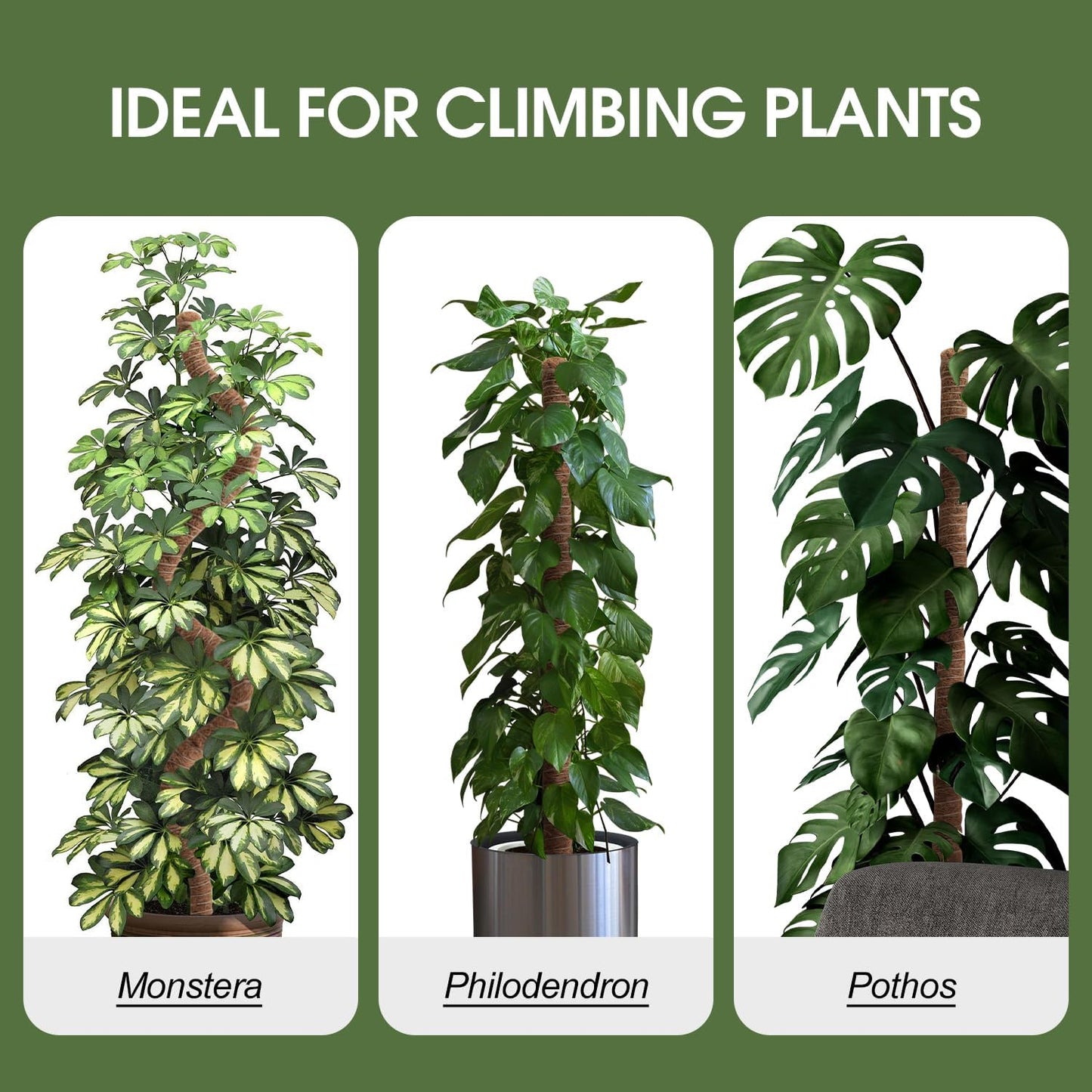 2 Pack Moss Pole, 63 Inch Bendable Moss Poles for Plants Monstera Long for Climbing Plants, Extra Large Handmade Pole Plant Sticks Support Stakes for Indoor Plants to Grow Upwards