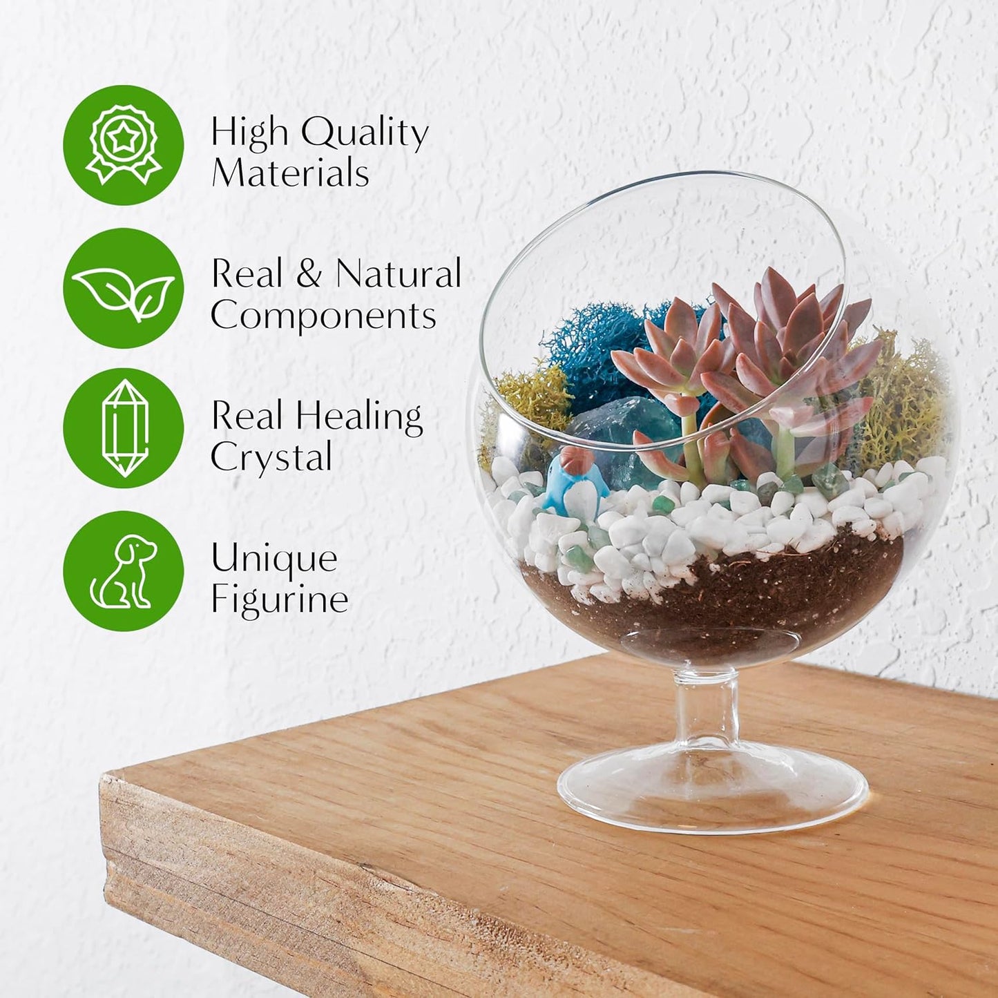 6" DIY Chalice Terrarium Kit with Live Plants - Build Your Own Glass Terrarium for Adults & Kids with Moss, Crystals, Soil, Tools & Figurine - Mini Ecosystem - Made in The USA
