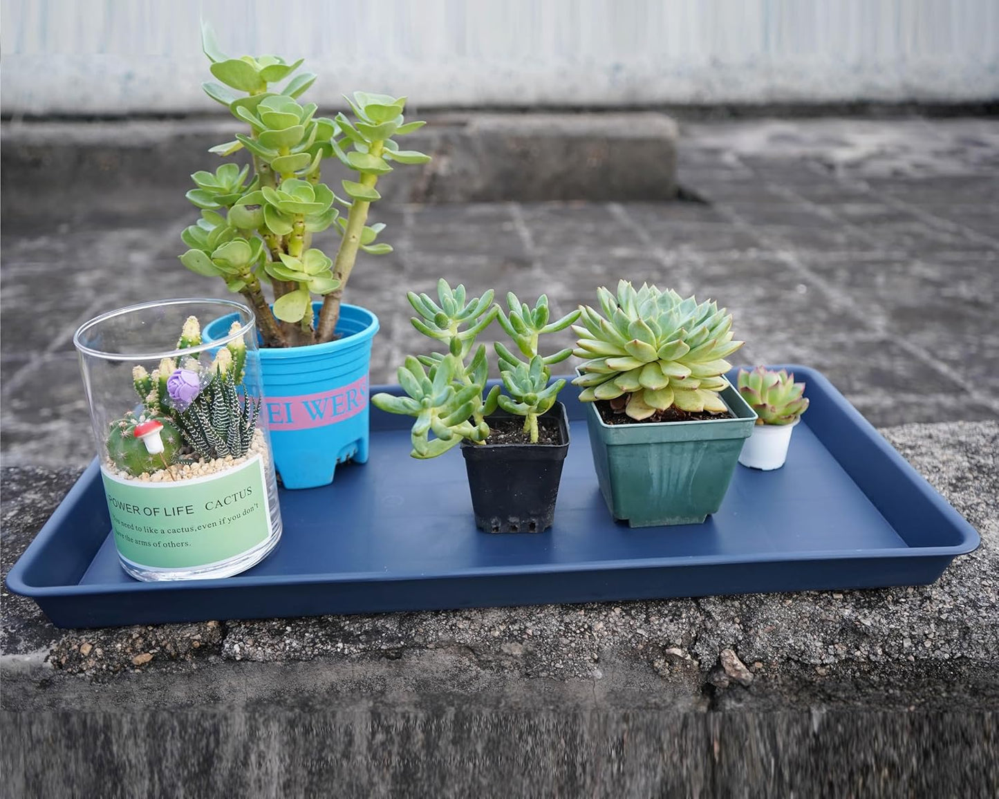 Plant Saucer Growing Tray, Seed Starter Tray Rectangular, Heavy Sturdy Plastic Plant Saucers Drainage Trays, Plant Drip Trays for Pots, Seed Starter Growing Tray (11 x 9 inch, 2 Pack)