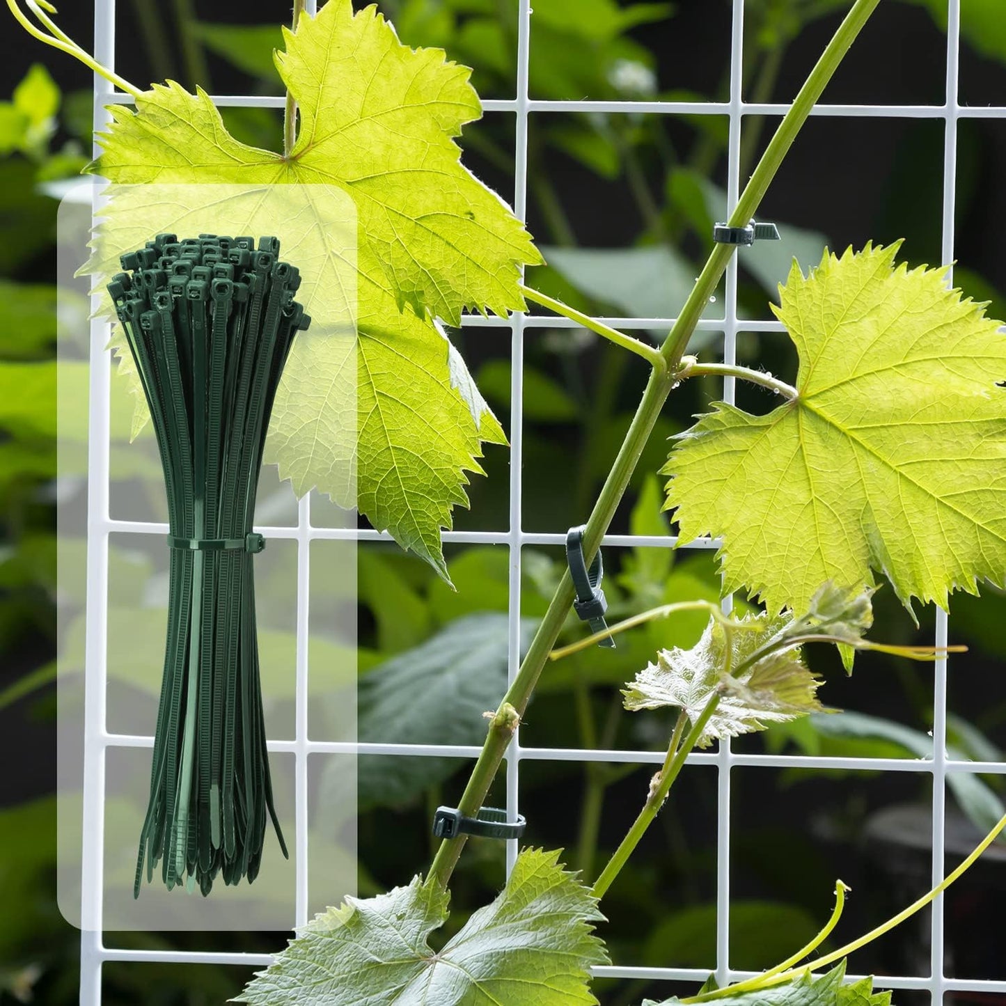 8 Inch Garden Green Zip Tie 1000 PCS, 40 Lbs - Small to Medium Zip Tie, Nylon PA66 UV Resistant Cable Tie Heavy Duty for Indoor and Outdoor Use - Ideal for bundling and securing objects