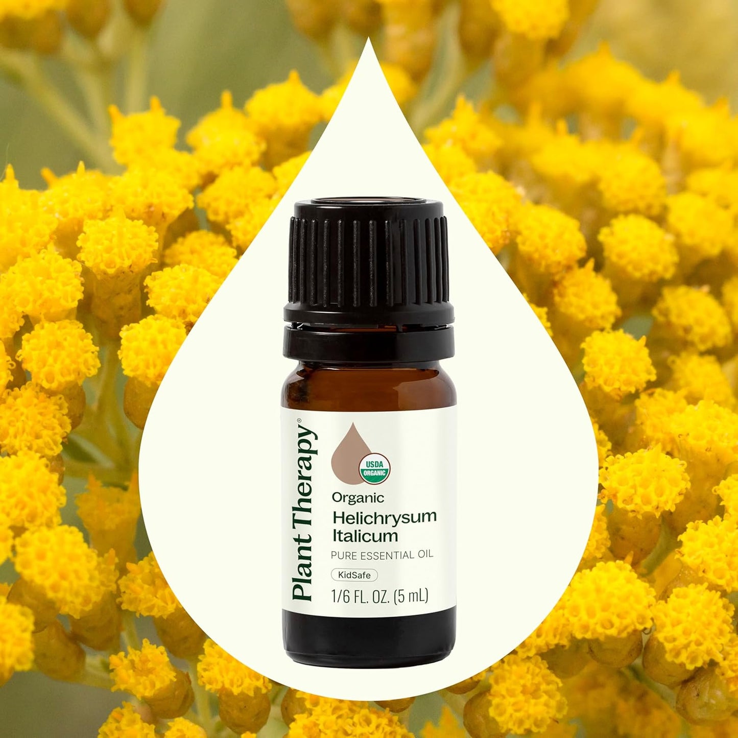 Plant Therapy Organic Helichrysum Italicum Essential Oil 100% Pure, USDA Certified Organic, Undiluted, Natural Aromatherapy, Therapeutic Grade 5 mL (1/6 oz)
