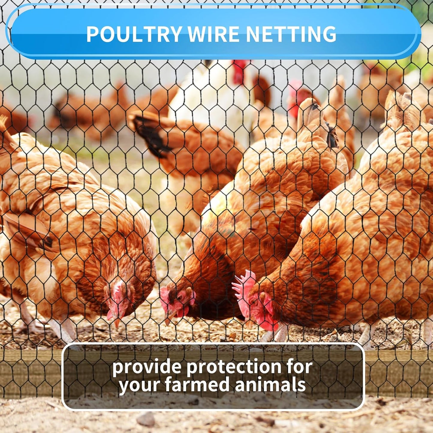 60'' x 150' Black Chicken Wire Mesh Fence, 20 Gauge Galvanized Poultry Netting and 1 inch Garden Mesh Fence Roll, Chicken Wire for Floral Arrangements/Crafts/Farm/Livestock/Pet Protection