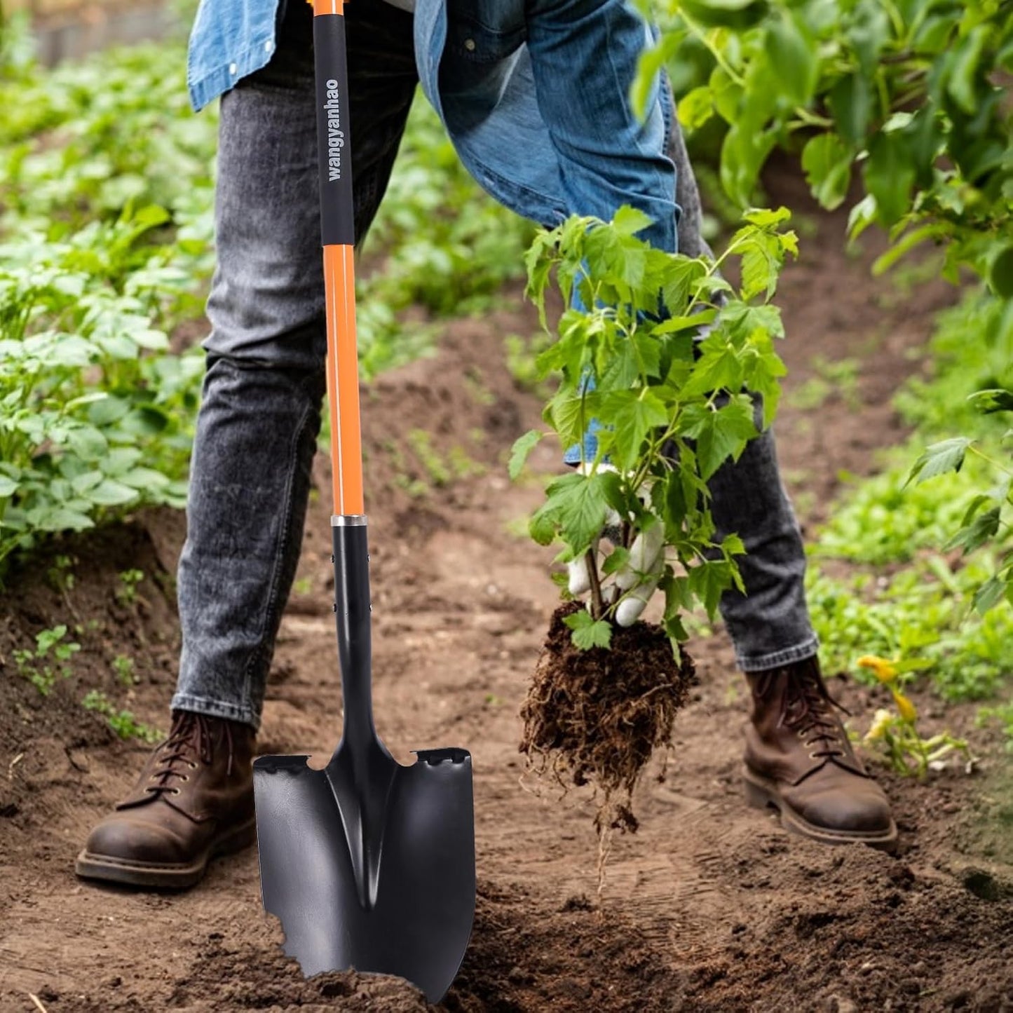 Heavy Duty Garden Shovel, 58-Inch Long Handle, Steel Head with Orange Fiberglass Handle
