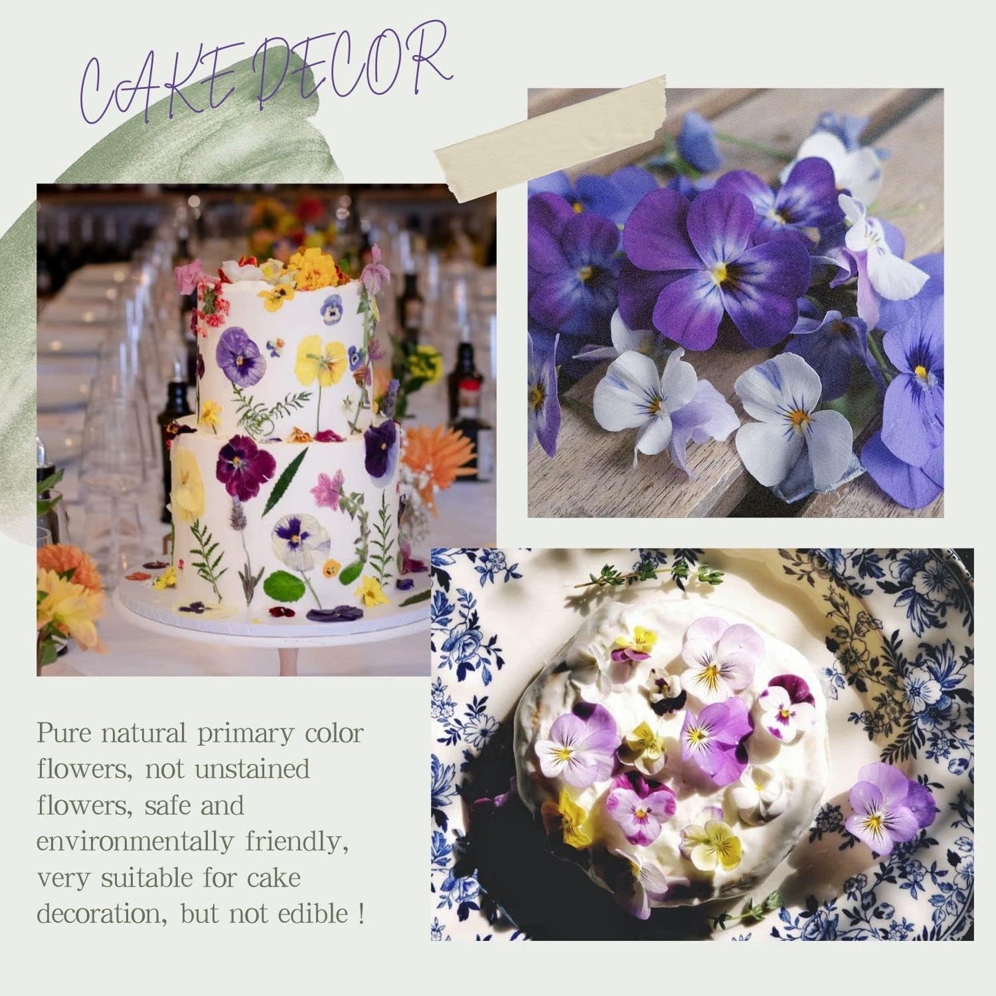 48 Pcs Mix Natural Dried Pressed Flowers for Cake Decorating, Real Dry Flower for Resin Jewelry Making, DIY Art Crafts - Johnny Jump Up