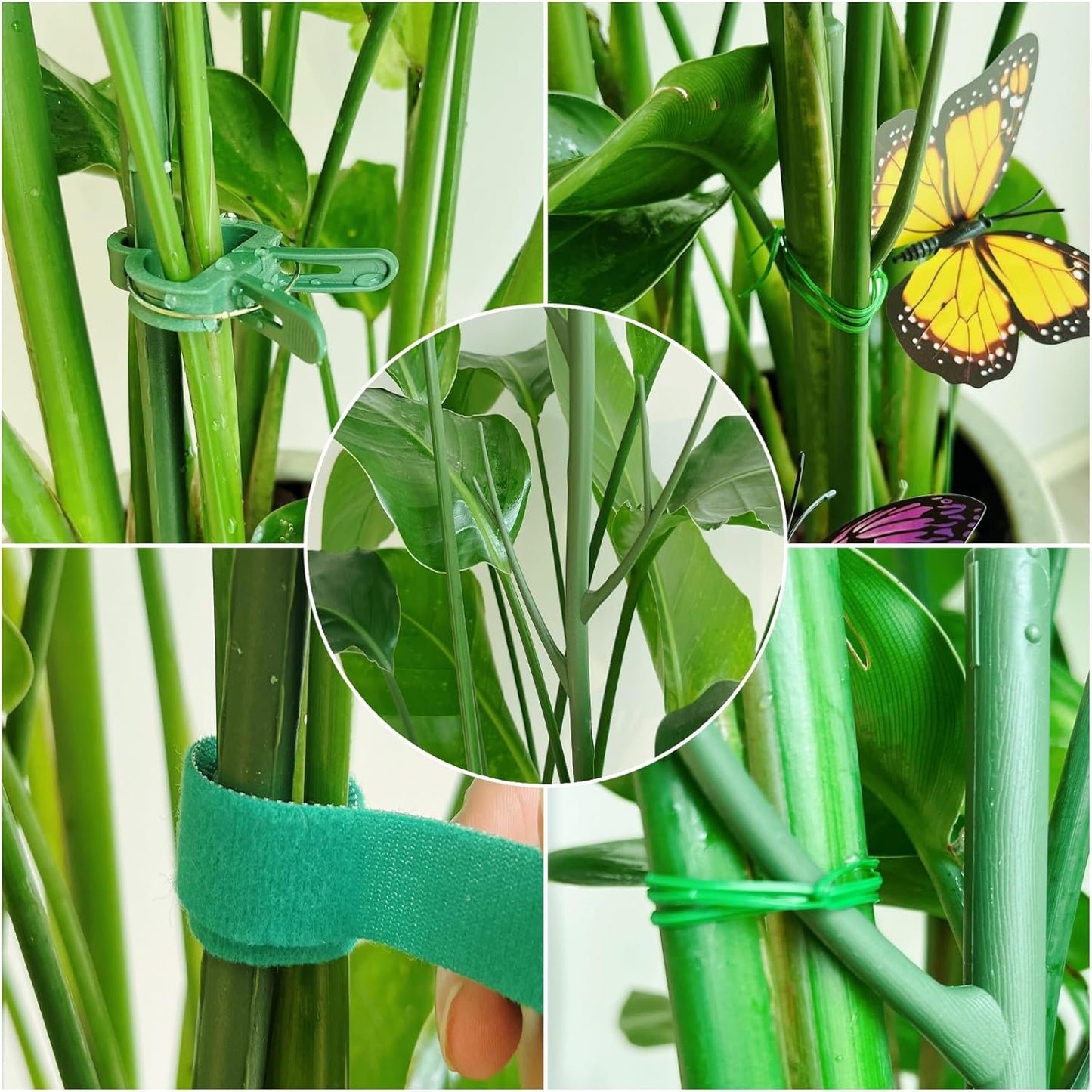 6 Pack Plant Support Plant Stakes for Indoor and Outdoor Plants, 28.8” Plant Sticks with Plant Clips Twist Tiers and Plant Tiers for House Potted Plants, Monstera Plant Support for Climbing Plants