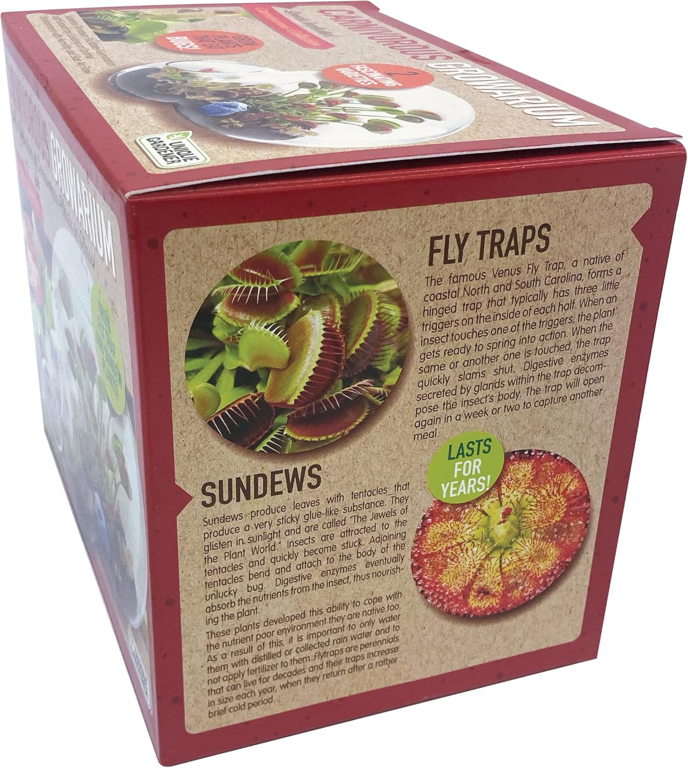 Grow Your Own Venus Fly Trap, Kids Garden Glass Terrarium Starting Kit to Sprout Flytrap and Sundew Plants, Includes Seed and Complete Terrarium Supplies for The Plant to Thrive