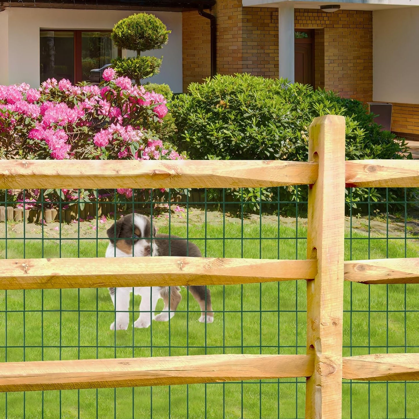 Green PVC Coated Welded Wire Fence 56 Inch x 50 Foot, 2 Inch x 4 Inch 14GA, Garden Border Fencing Roll Vinyl Coating Metal Wire Mesh Hardware Cloth for Yard Vegetable Plant Protection