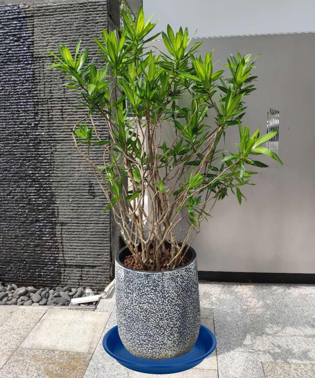 2 Pack Plant Saucer Drip Tray 13 14 inch, Large Plastic Flower Planter Saucers and Drip Trays for Indoors Outdoors, Heavy Durable Plant Plate Water Catcher (14", Blue)