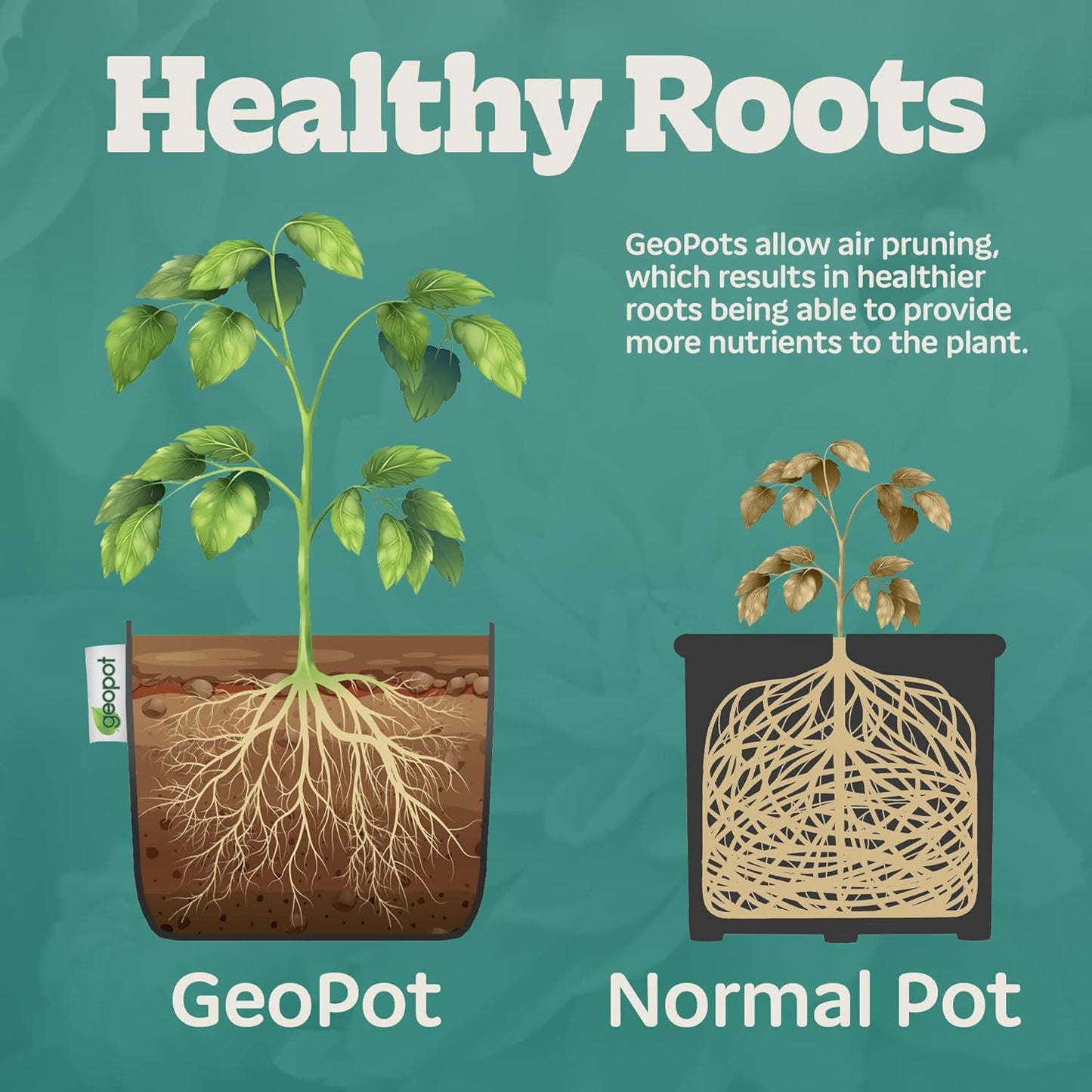 5 Gallon Fabric Grow Bags for Vegetables, Houseplants, Herbs & Flowers | 10-Pack | Fabric Pots for Outdoors and Indoors, Aerated Fabric Grow Bags