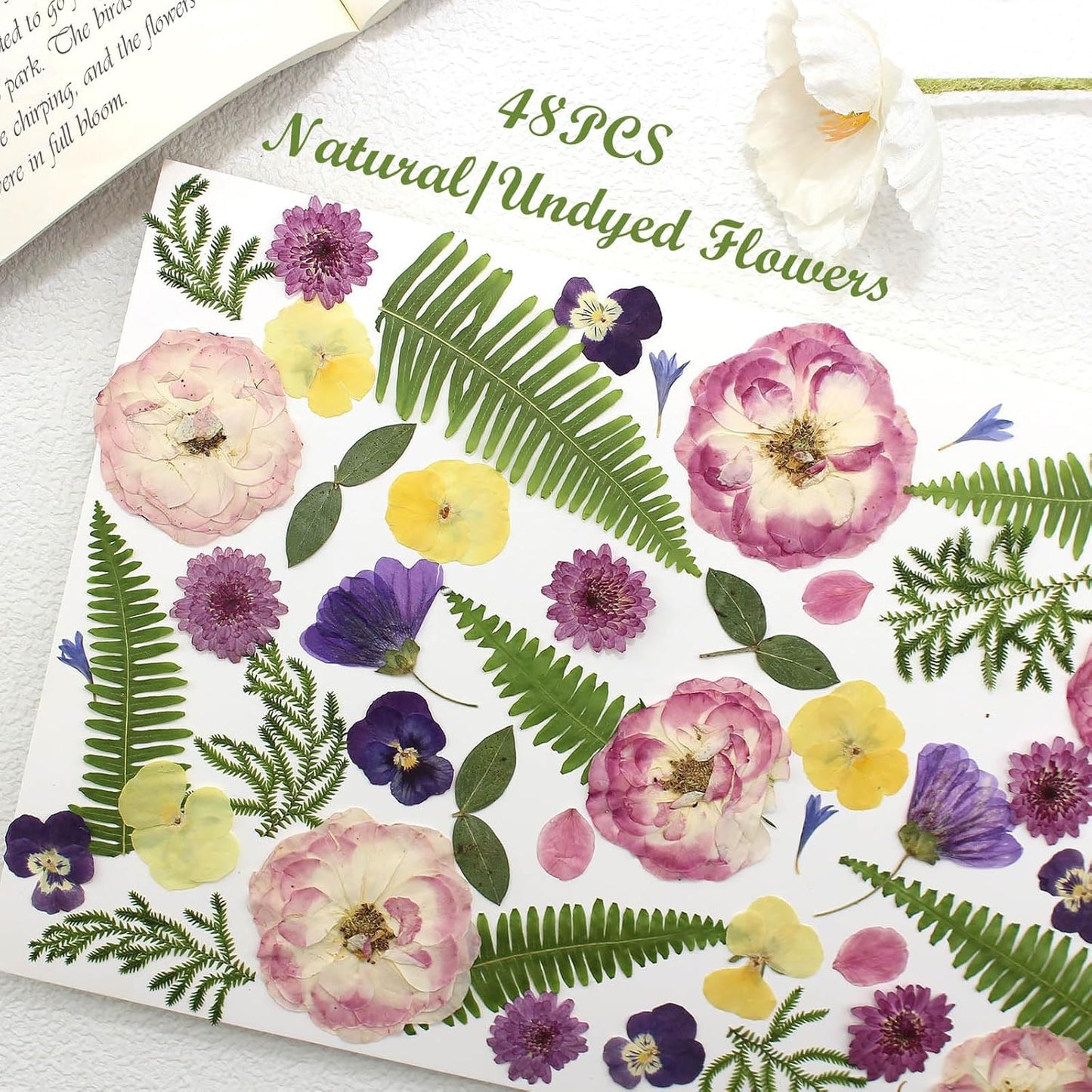 48 Pcs Mix Natural Dried Pressed Flowers for Cake Decorating, Real Dry Flower for Resin Jewelry Making, DIY Art Crafts - Lovely