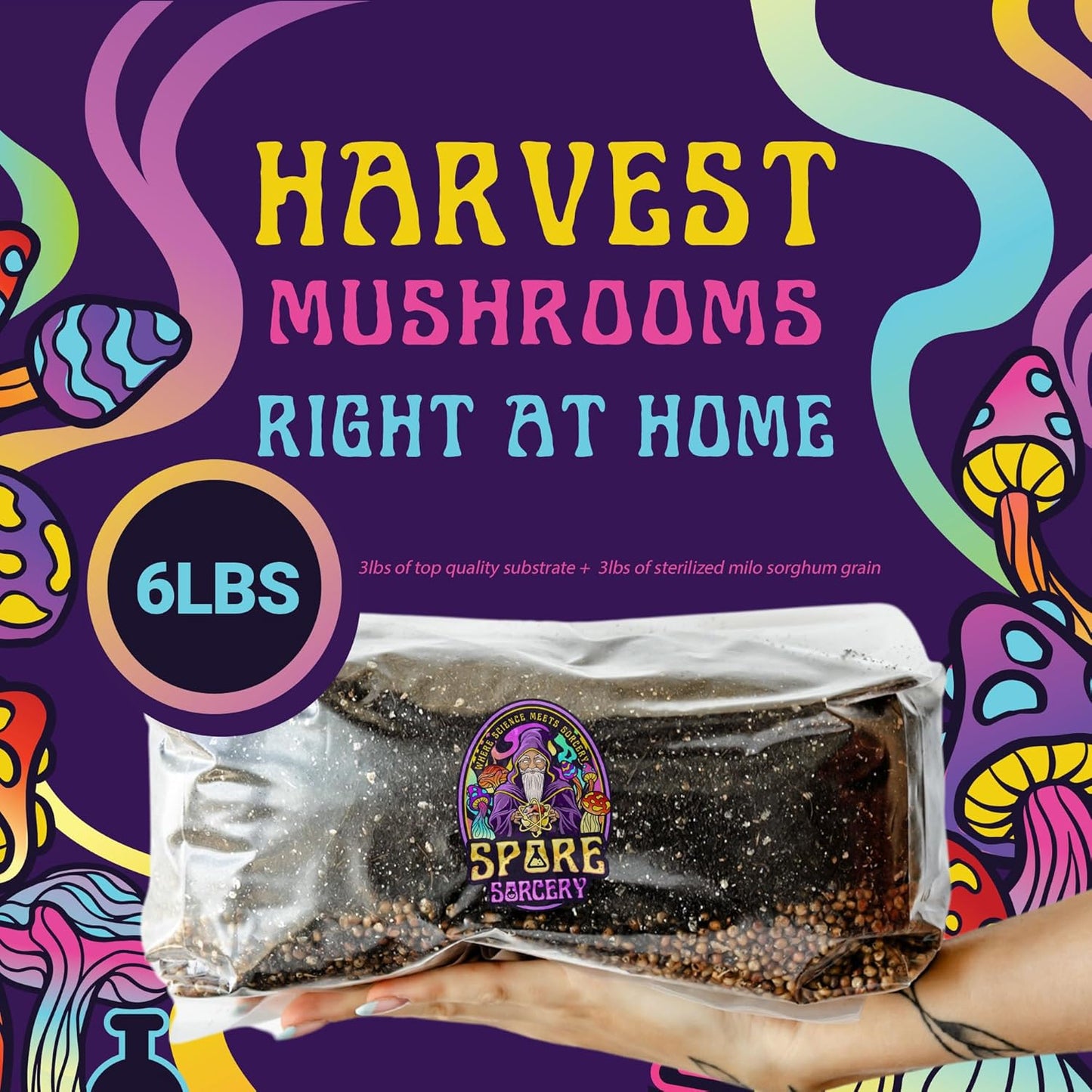 6 LB All-in-One Mushroom Grow Kit: Up to 96oz of Mushrooms! Nutrient-Enhanced, Injection Port, Just Add Your Own Spores & Grow Like Magic (6 LB Bag)