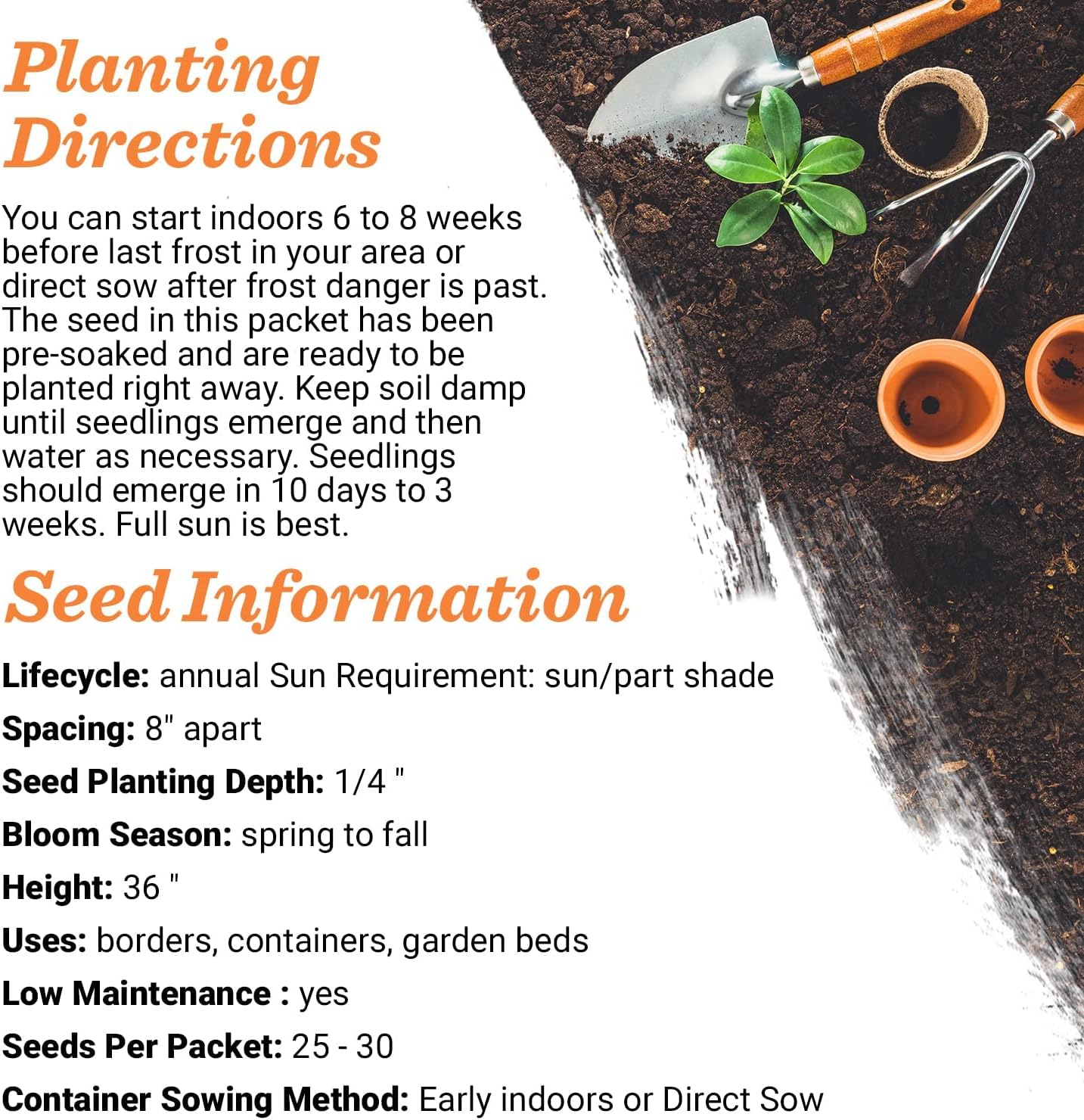 Bentley Seeds Co. Seed Packets for Planting - Party Favors for Indoors and Outdoors Gardening - Non GMO, Non-Coated - Bulk Pack of 25 Milkweed (Common, Showy & Butterfly Mix)