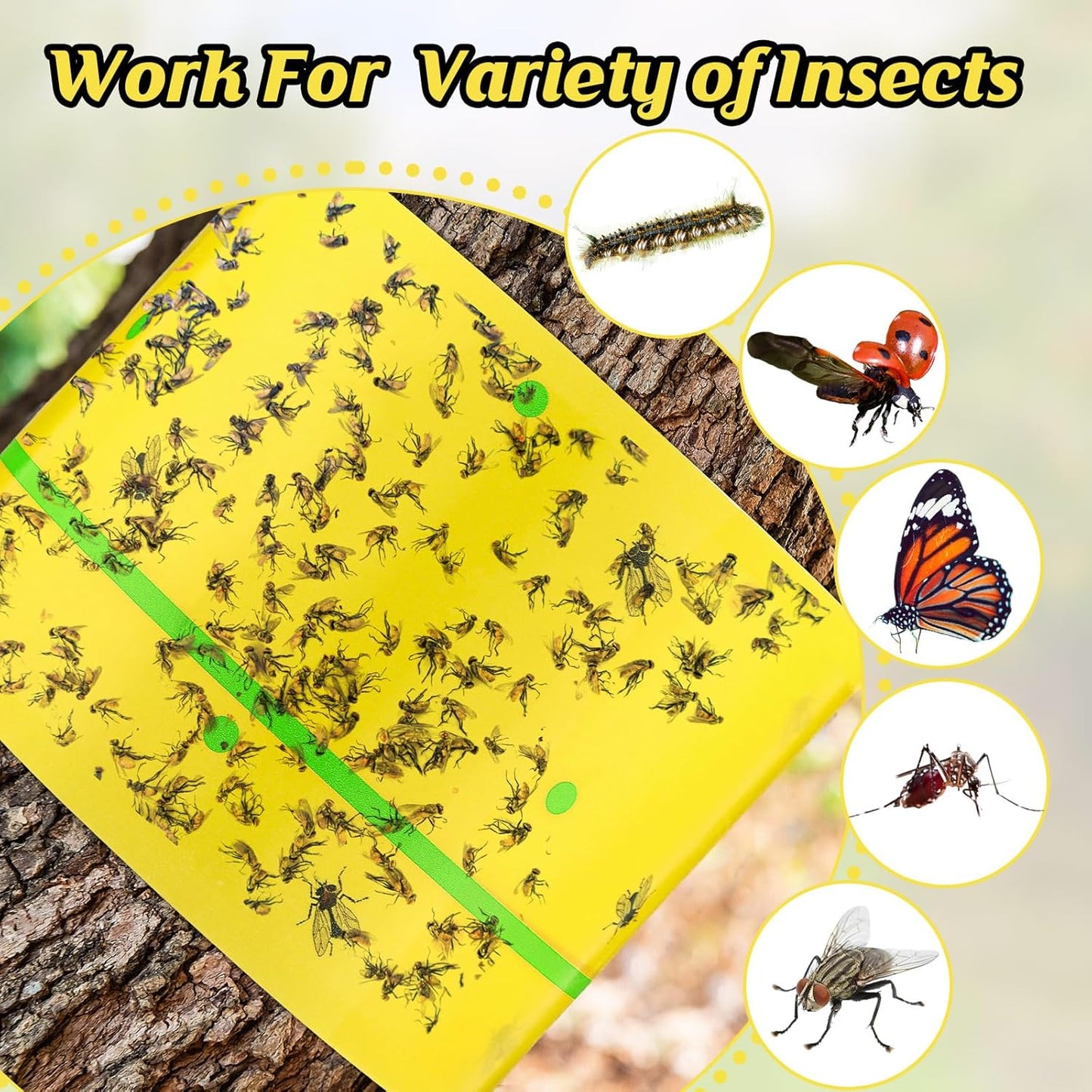 Qualirey 6 Rolls Spotted Lantern Fly Traps 30 Feet Each Roll Fly Tree Trap Sticky Strips Outdoor Fruit Glue Strips Disposable Tape Indoor Paper Sheets for Protecting Trees(Classic Color)