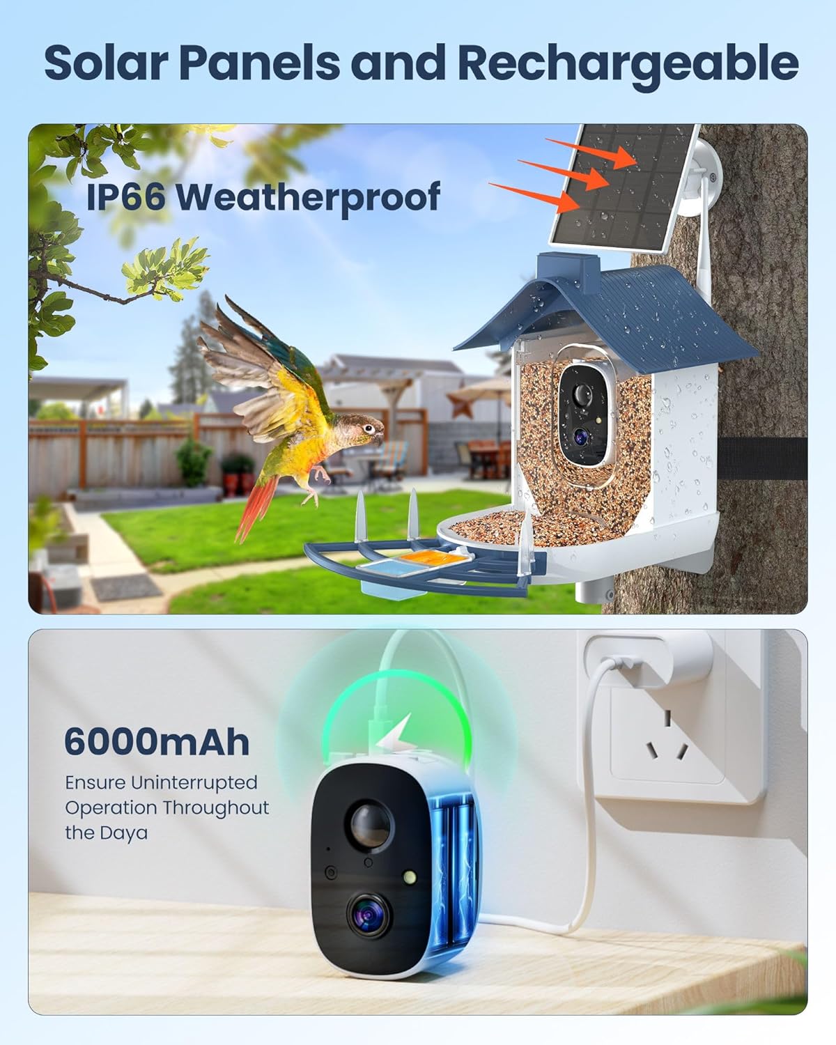 Bird Feeder with Camera, AI Identify Bird's Species Camera, Full HD Live Video Outdoor Adjustable Solar Smart Birds Feeder, Auto Capture Birds Videos & Notify, Ideal Present for Bird Lover
