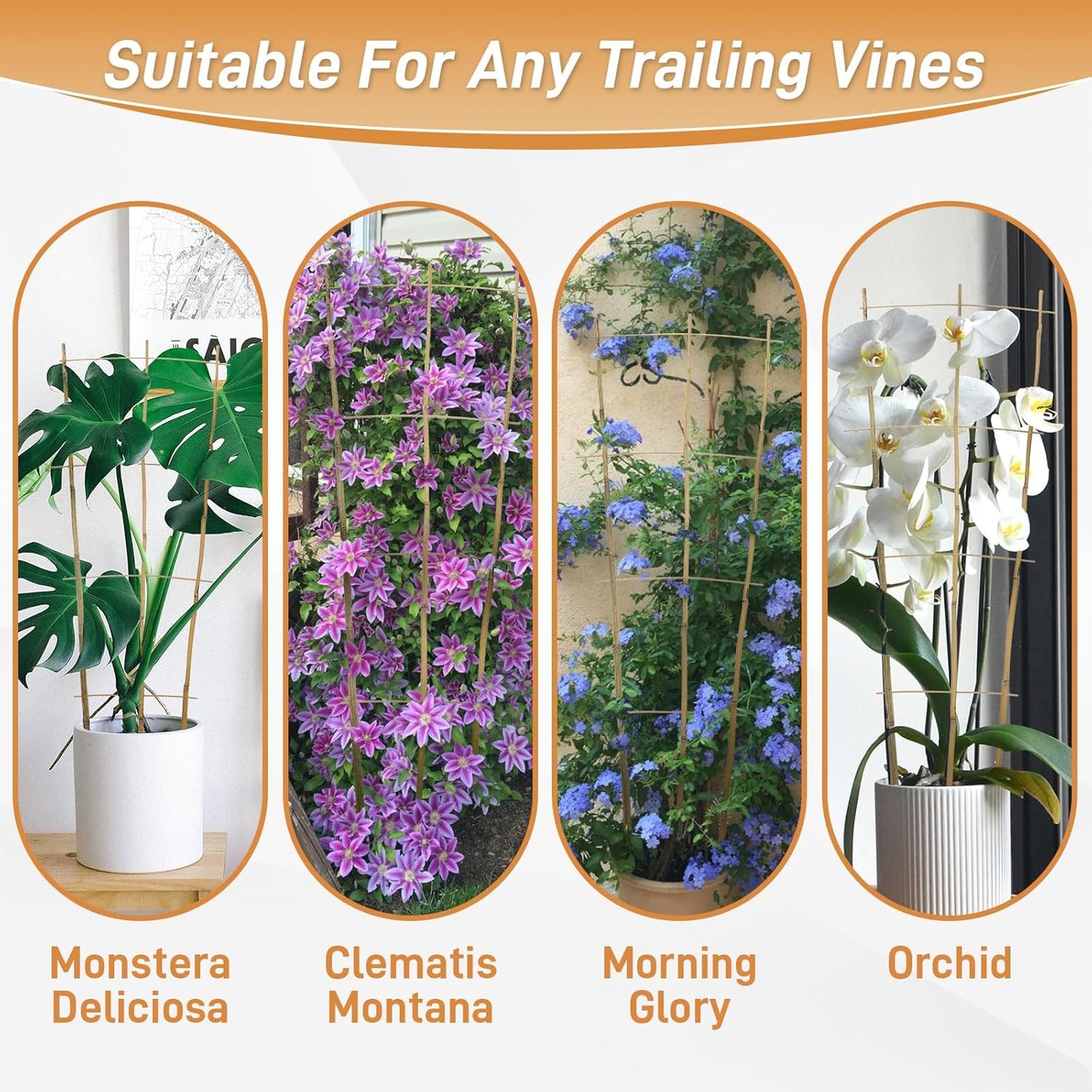 10 Pack 4ft Bamboo Trellis for Climbing Plants-Natural Garden Ladder Trellis, Fan -Shaped Support Trellis for Potted Plant Decor in Door