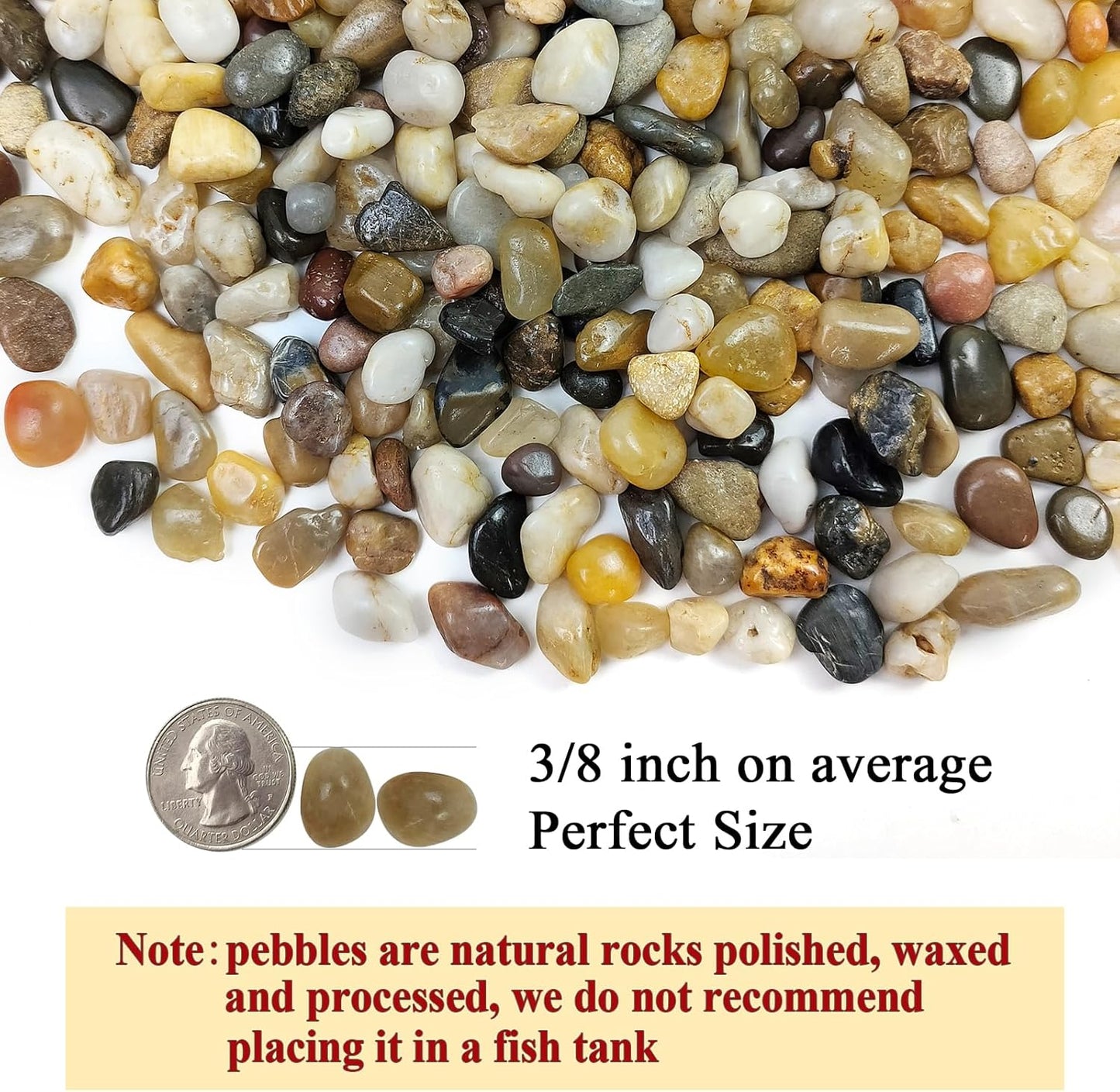 2 Pounds Pebbles for Plants, 3/8 Inch Polished Pea Gravel. Decorative Stones River Rocks for Succulent Soil Cover, Cactus, Aquarium, Vase and Outdoor Garden Landscaping