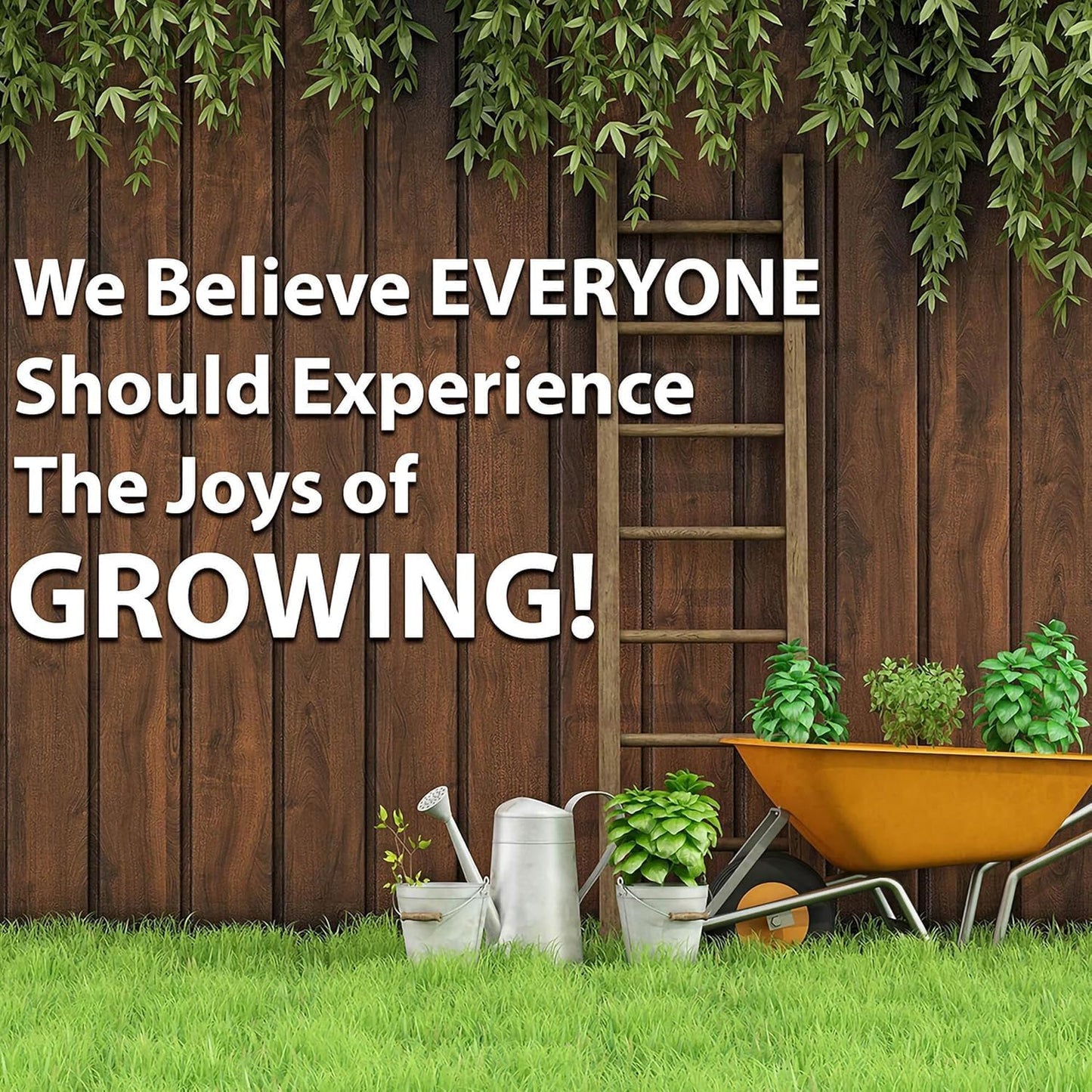 Thai Ornamental Hot Pepper 1 Gram ~430 Seeds – Non-GMO, Heirloom, Open-Pollinated – 50K–100K SHU – Compact, Upright Plants – Edible & Decorative – Heat-Tolerant