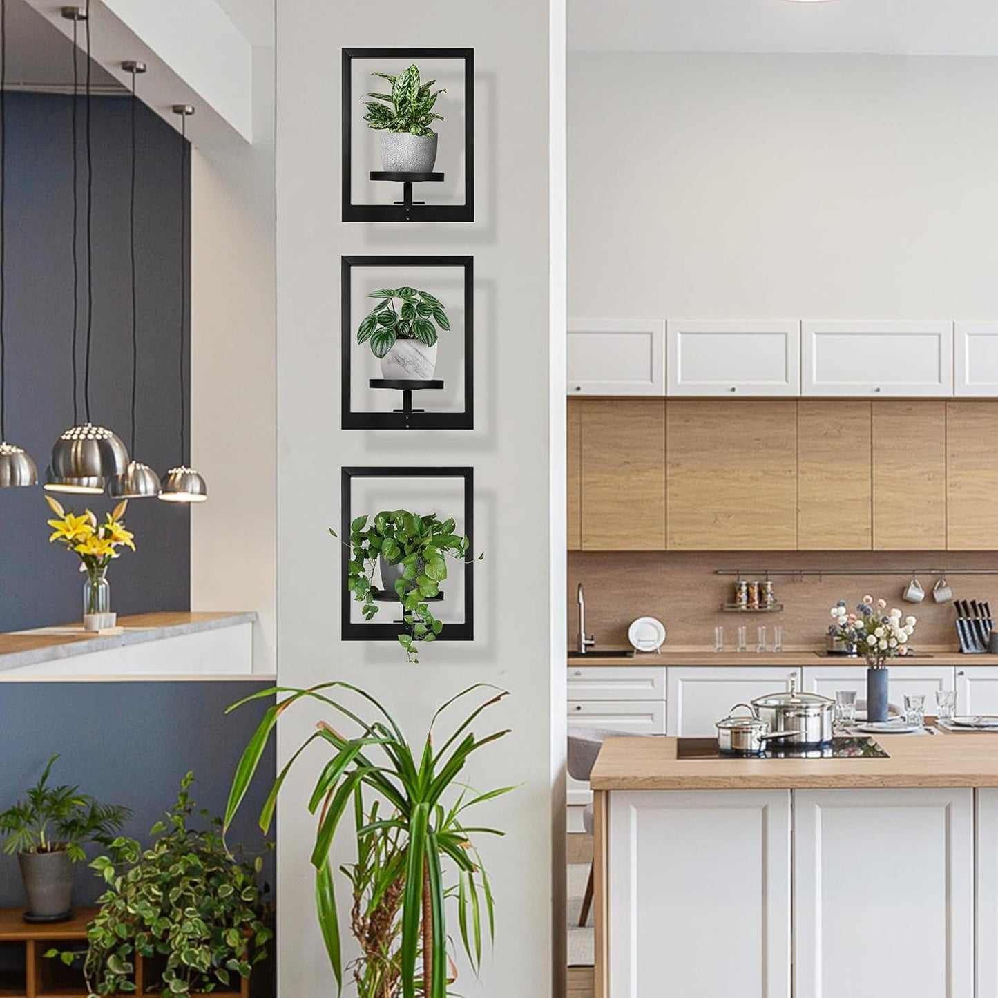 Heavy-Duty Wall Planters for Indoor Plants, Modern Metal Hanging Plant Holders, Picture Frame Wall Plant Shelves for Living Room, Balcony, Patio, Window Garden Décor, 3-Pack