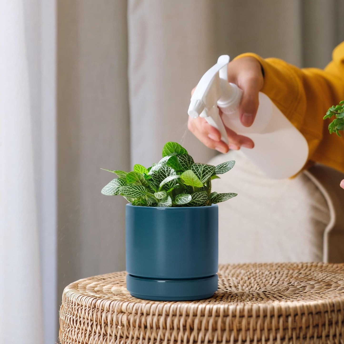 D'vine Dev 4.7 Inch Ceramic Planter Pot with Drainage Hole and Saucer, Indoor Cylinder Round Planter Pot, Teal, 94-O-B-9