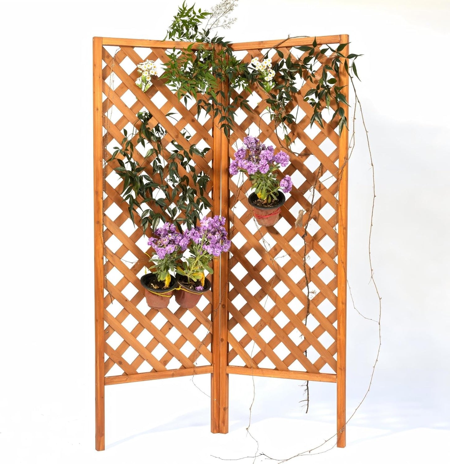 2-Pack Wooden Garden Trellis Panels – 72" H x 24" W Climbing Plant Support Screen for Outdoor Vines, Roses & Vegetables – FSC Fir Wood, Weather-Resistant, Lattice Privacy Fence