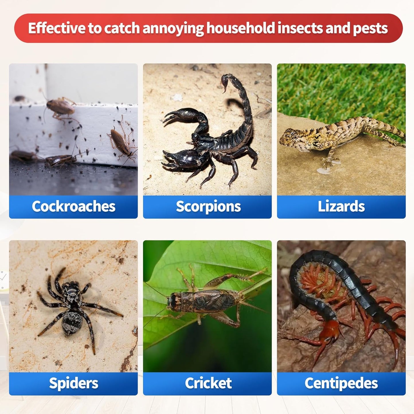 LULUCATCH Glue Traps,12 Pack Mouse Traps Indoor for Home, Pre-baited Non-Toxic Bulk Adhesive Bug Catcher, Sticky Traps for Catching Bugs, Mice, Spiders, Cockroaches, Pet Safe Pest Control