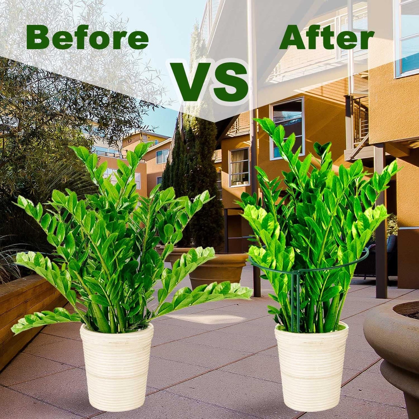 HiGift 12 Pack Plant Stakes for Indoor Plants, Metal Garden Peony Support Cages, Outdoor Plant Supports Ring Prop, Large Plant Stake for Hydrangea,Rose,Flower,Vine,Potted Plants (10" W x 15.8" H)