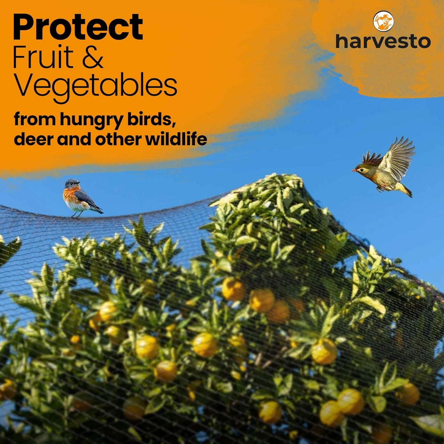 Heavy Duty Bird Netting for Chicken Coops & Runs | Tree & Garden Netting Mesh 1-1/2" | Keep Hawks, Birds & Predators Away | Bird Netting for Blueberry Bushes, Vegetables & Fruit (25' x 25’)