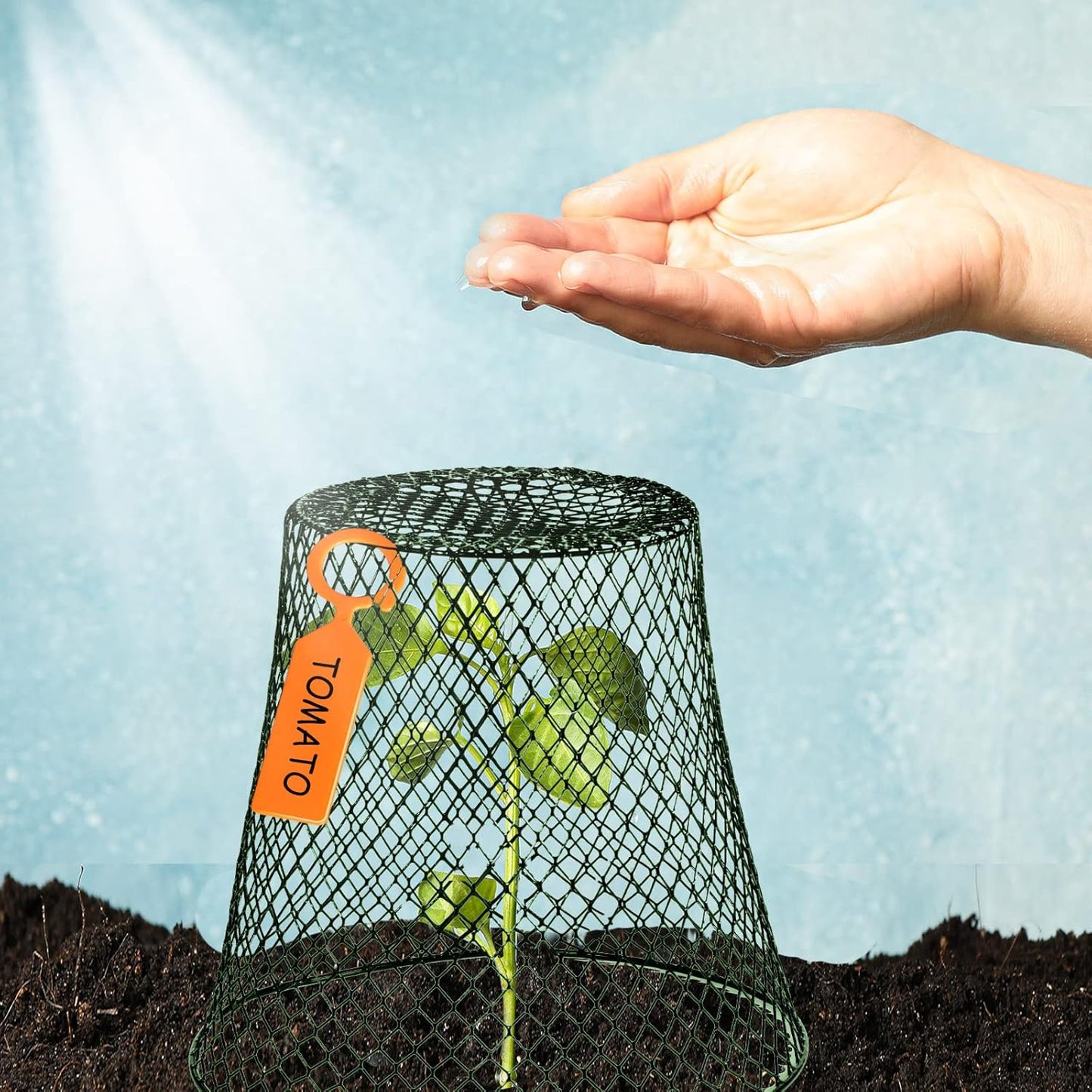 20 Pcs 9×9inch Chicken Wire Plant Covers Wire Garden Cloches Chicken Wire Cloche Plant Protector Metal Heavy Duty Garden Plant Cloche for Keeping Bunnies Chicken Squirrels Birds Other Out