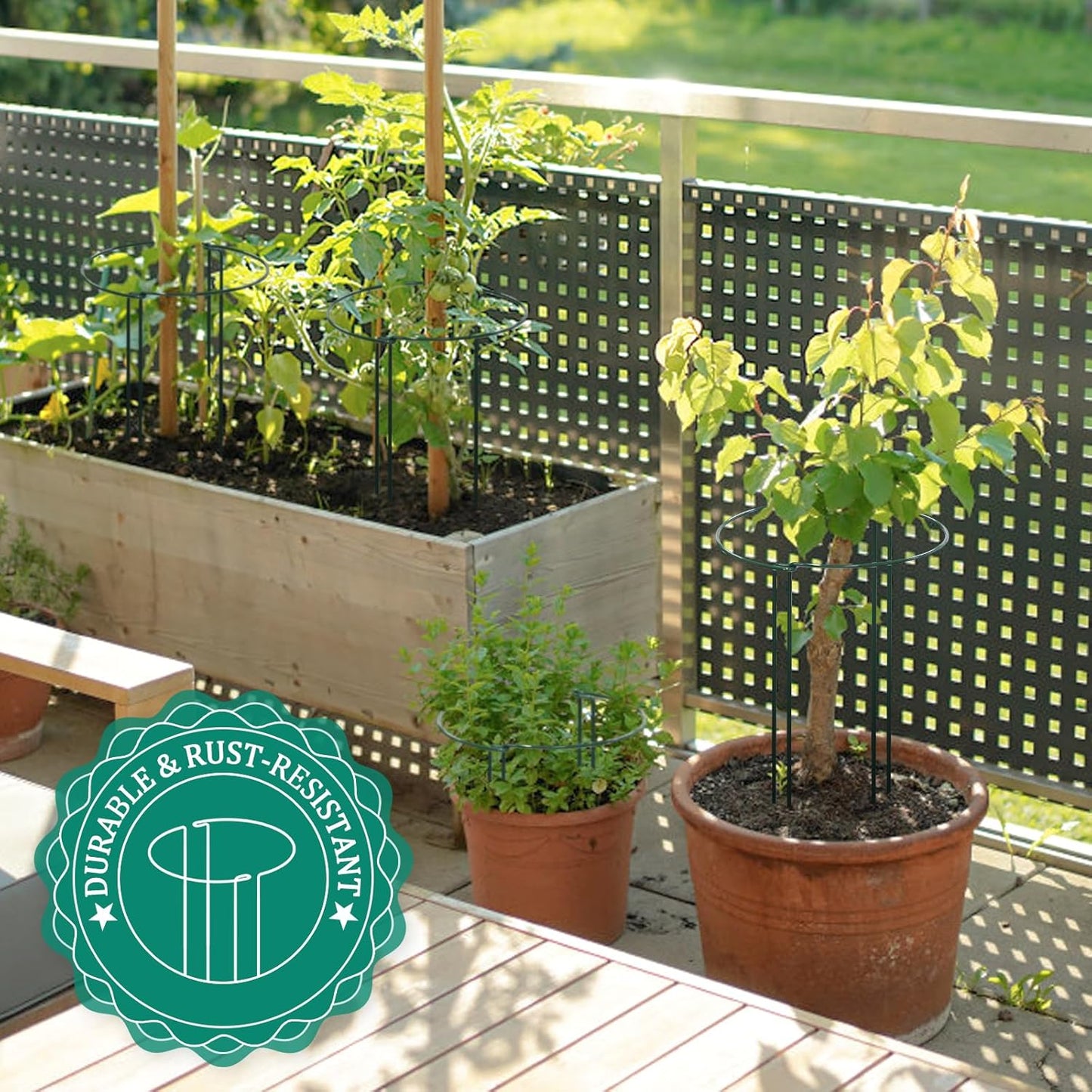 16 Pack 24 inch Plant Support Stakes, Half Round Peony Cage and Support, Adjustable Plant Support Stand with Clips & Twist Tie Garden Stakes for Indoor Outdoor, Heavy Duty Plant Support Ring