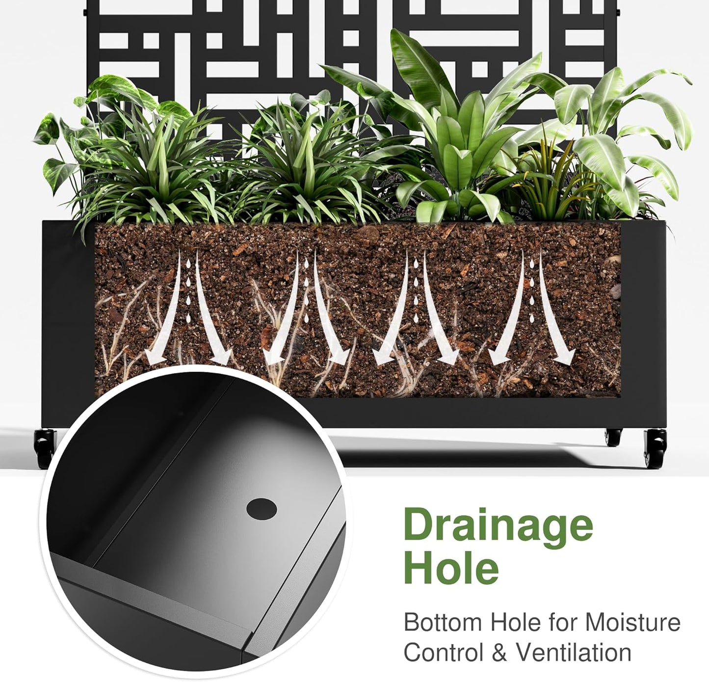 Casaphoria Metal Raised Garden Bed with Trellis and Wheels, 72"x35"x16" Arched Planter Box for Climbing Plants, Vegetables & Vines, Features Drainage Holes and Privacy Screen (Black-Helen)