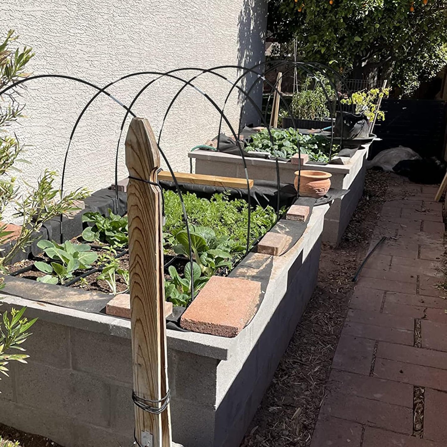 Greenhouse Hoops Grow Tunnel 30 Pcs 16 Inch Up to 6 Sets of 7ft Long Plastic-Coated Rust-Proof Fiberglass Garden Hoops for Raised Beds with 25 Pcs Metal Connect Pipes and 20 Clamps