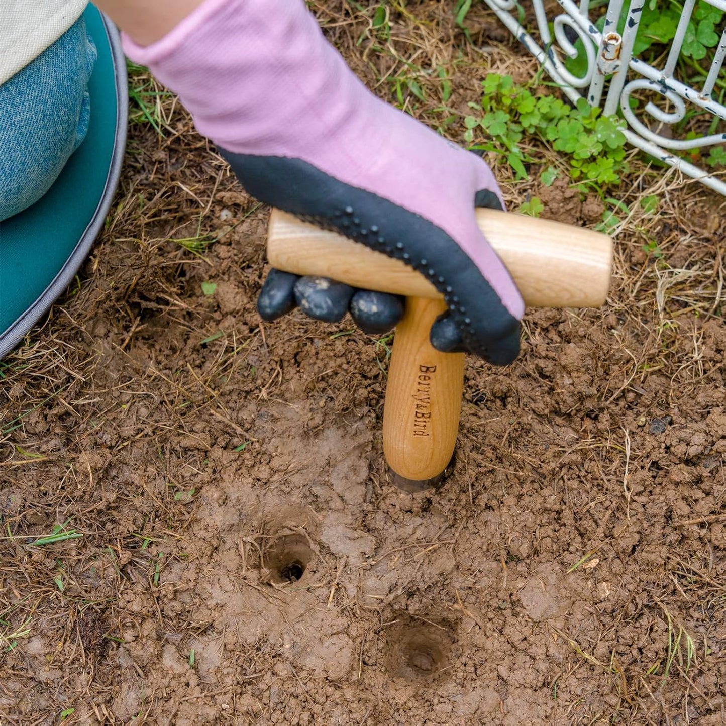 Berry&Bird Hand Dibber, Stainless Steel Sow Dibbler with Wood Handle, Garden Hole Punch Dibbler Tool for Planting Seeds & Bulbs, Hand Held Bulb Planter for Planting Flowers Tulips, Daffodils, Dahlias