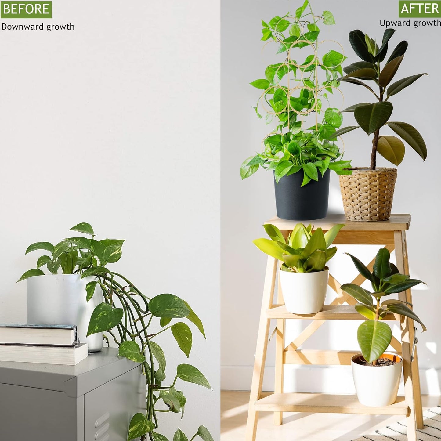 4 Pack Plant Trellis Indoor 15.7 Inch for climbing plants indoor Small Garden Trellis for Potted Plant Support Metal Wire Stackable Trellis Houseplant for Monstera Vines Lvy Pothos Accessories(4 gold)