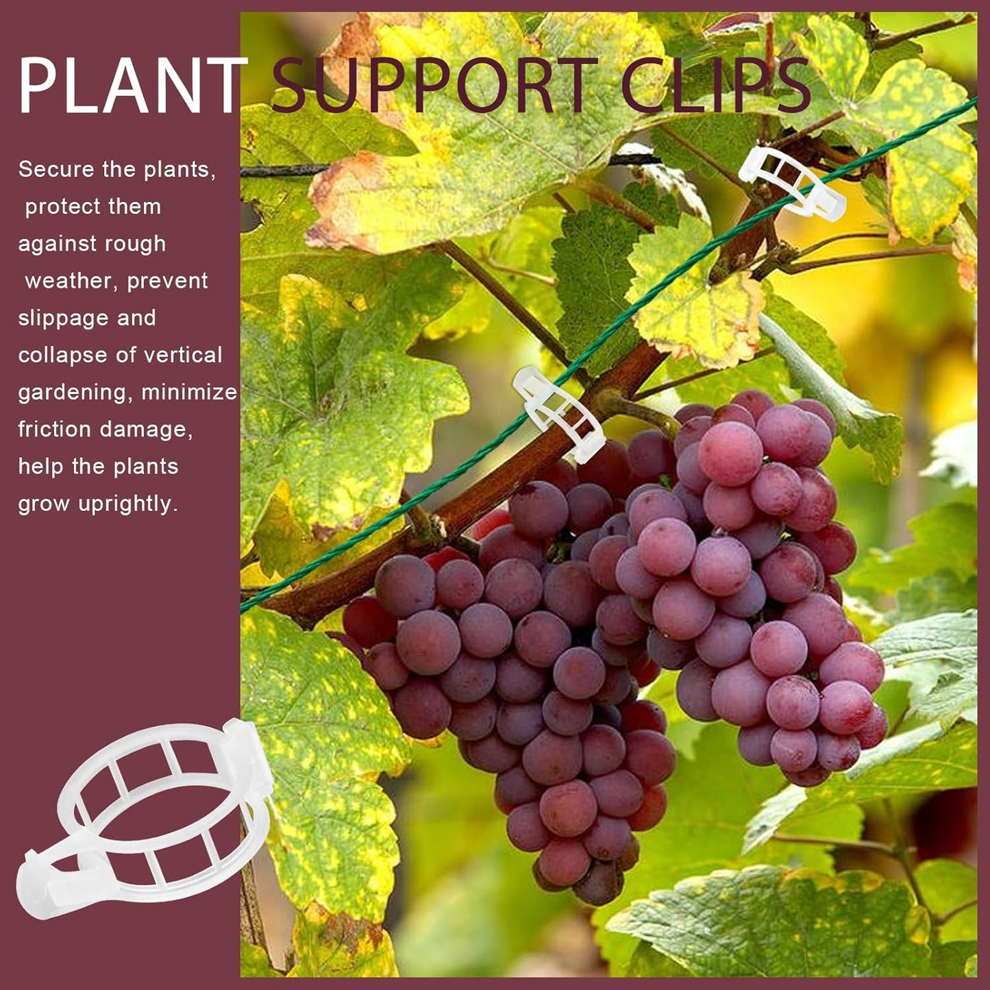 FANDAMEI 300 PCS Plant Support Clips, Plastic Garden Plant Ties, Tomato Clips Trellis for Tomato Cucumber Flower Squash Vine, 1” Inner Diameter for Climbing Plants