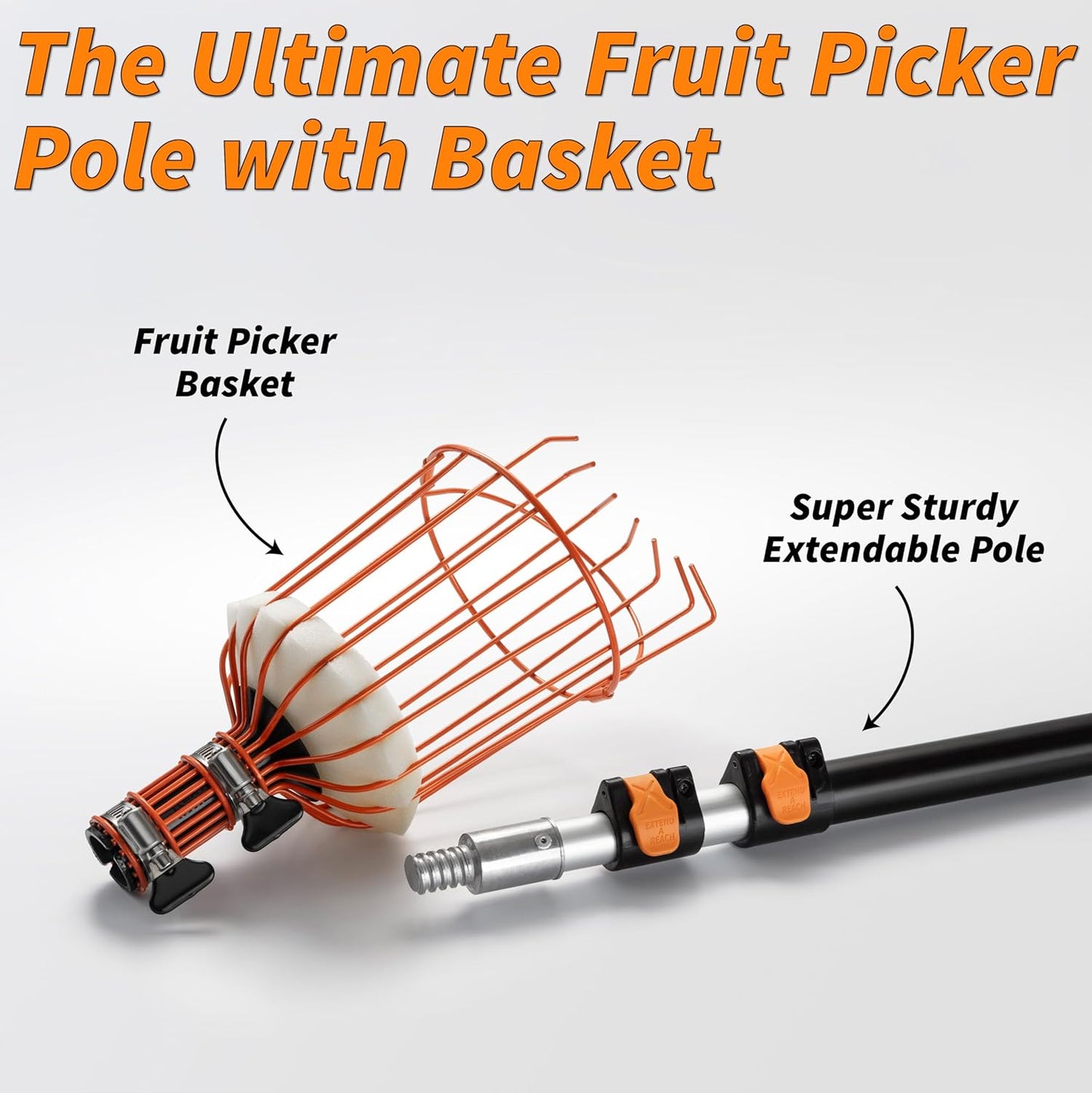 Fruit Picker Pole with Basket Telescoping 4-12 ft Apple Picker Extension Pole // Telescopic Fruit Tree Picker Tool for Picking Orange Mango Avocado Lemon Pear // The Ultimate High-Reach Fruit Grabber