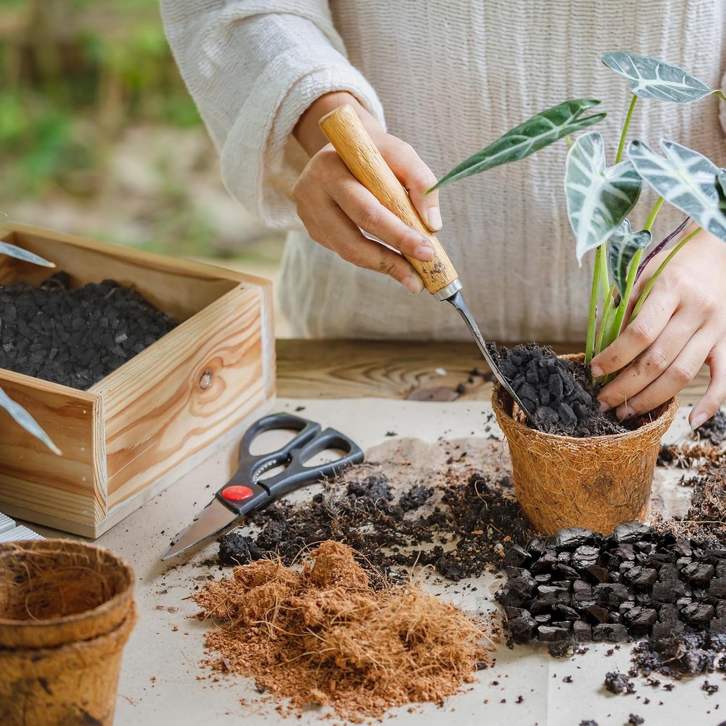 Horticultural Charcoal 4qt for Plants, Actived Charcoal Terrarium Supplies, Suitable for Indoor Plants, Succulent, Orchid, Cactus, Bonsai