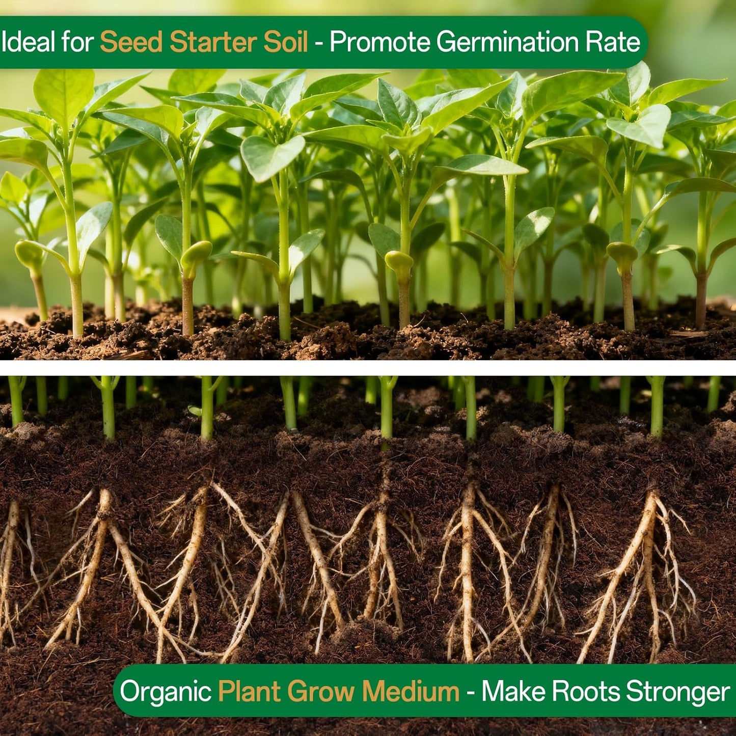 ZeeDix 12 Pcs Premium Coco Coir Brick- Natural Compressed Coconut Coir Bricks Coco Coir Fiber Potting Soil with Low EC and pH Balance, 100% Organic Coconut Coir for Plants Gardening Herbs Reptiles