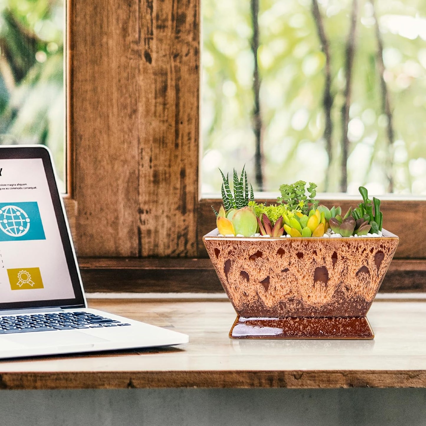 ARTKETTY Succulent Pots - 7 Inch Large Plant Pot with Drainage, Shallow Ceramic Bonsai Pots Succulent Planters for Indoor Outdoor Plants, Modern Cactus Planter Decorative Home Office