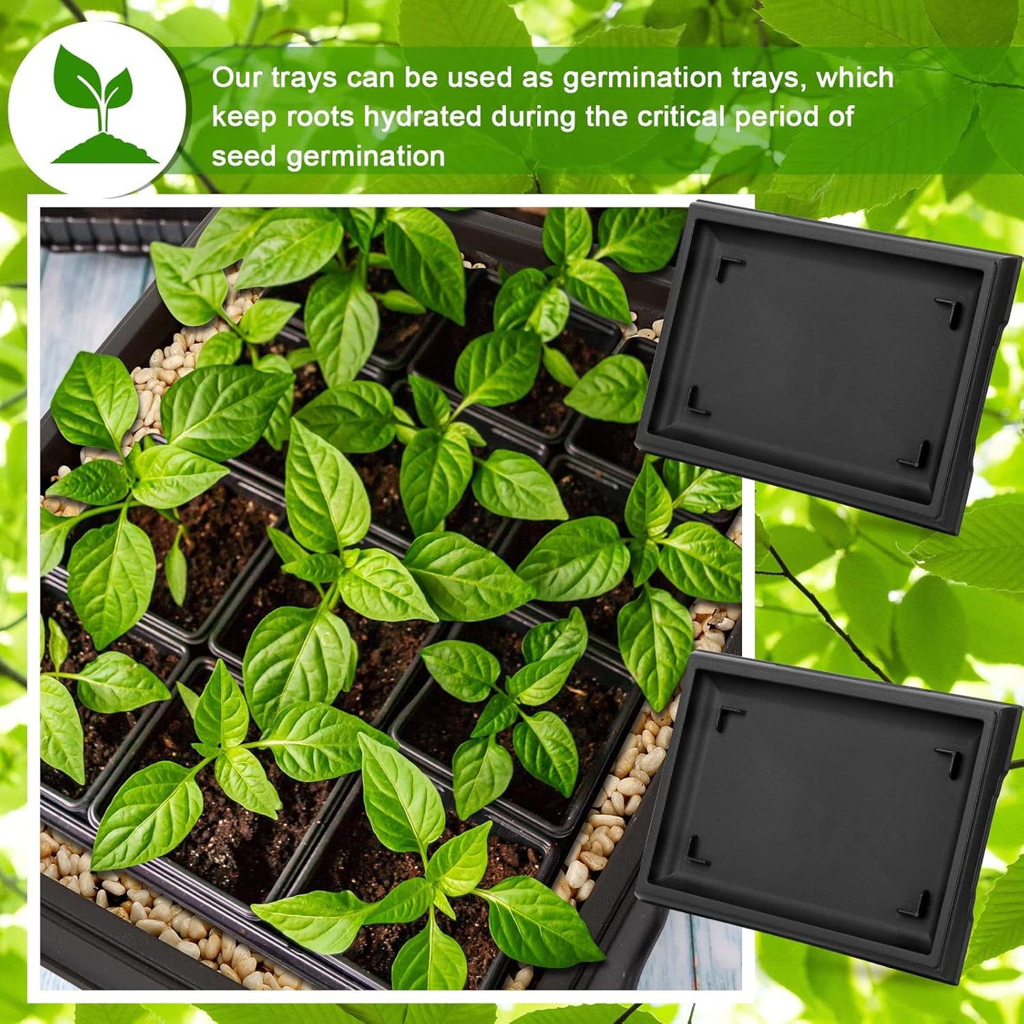 Pinkunn 2 Pcs Bonsai Humidity Tray Drip Tray Plastic Plant Water Catcher Plant Saucers for Indoors and Outdoors Cactus,Succulents,Bonsai Tree,Stone Not Included (15.7 x 13 Inch)