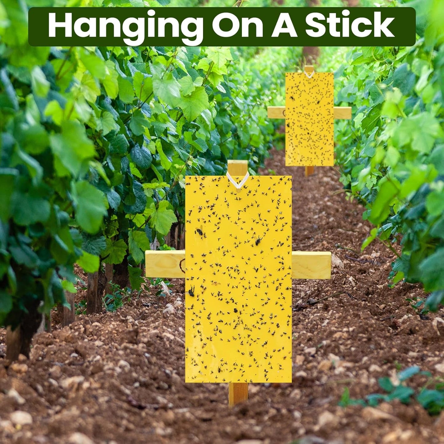 Qualirey 100 Pcs 7.87 x 3.9 Inch Sticky Traps for Plant Double Sided Sticky Trap for Gnats with Twist Ties Fly Traps for Fruit Insect Fungus Bugs Indoor Outdoor(Yellow)